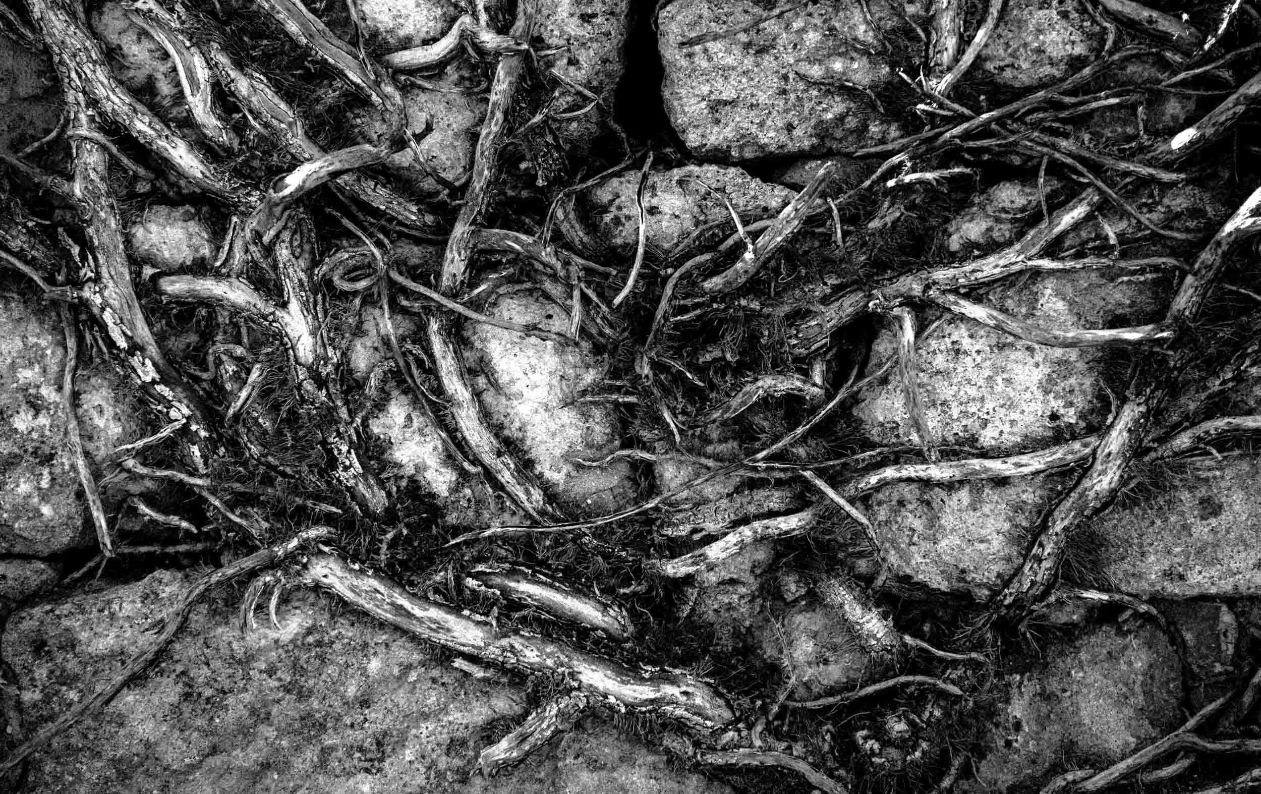 loire-valley-abstract-black-and-white.jpg