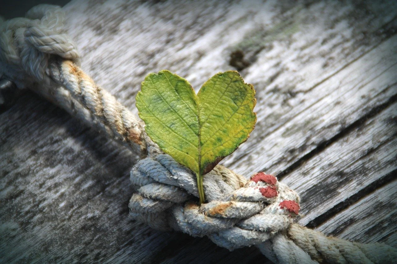 Une feuille verte en forme de cœur attachée à une corde usée fixée à une surface en bois.