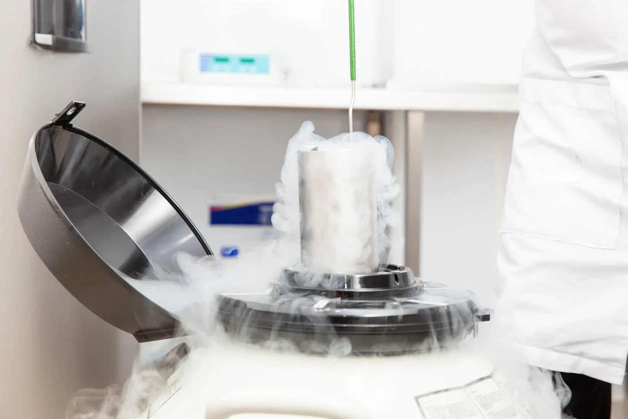 Stem Cell Cryopreservation
