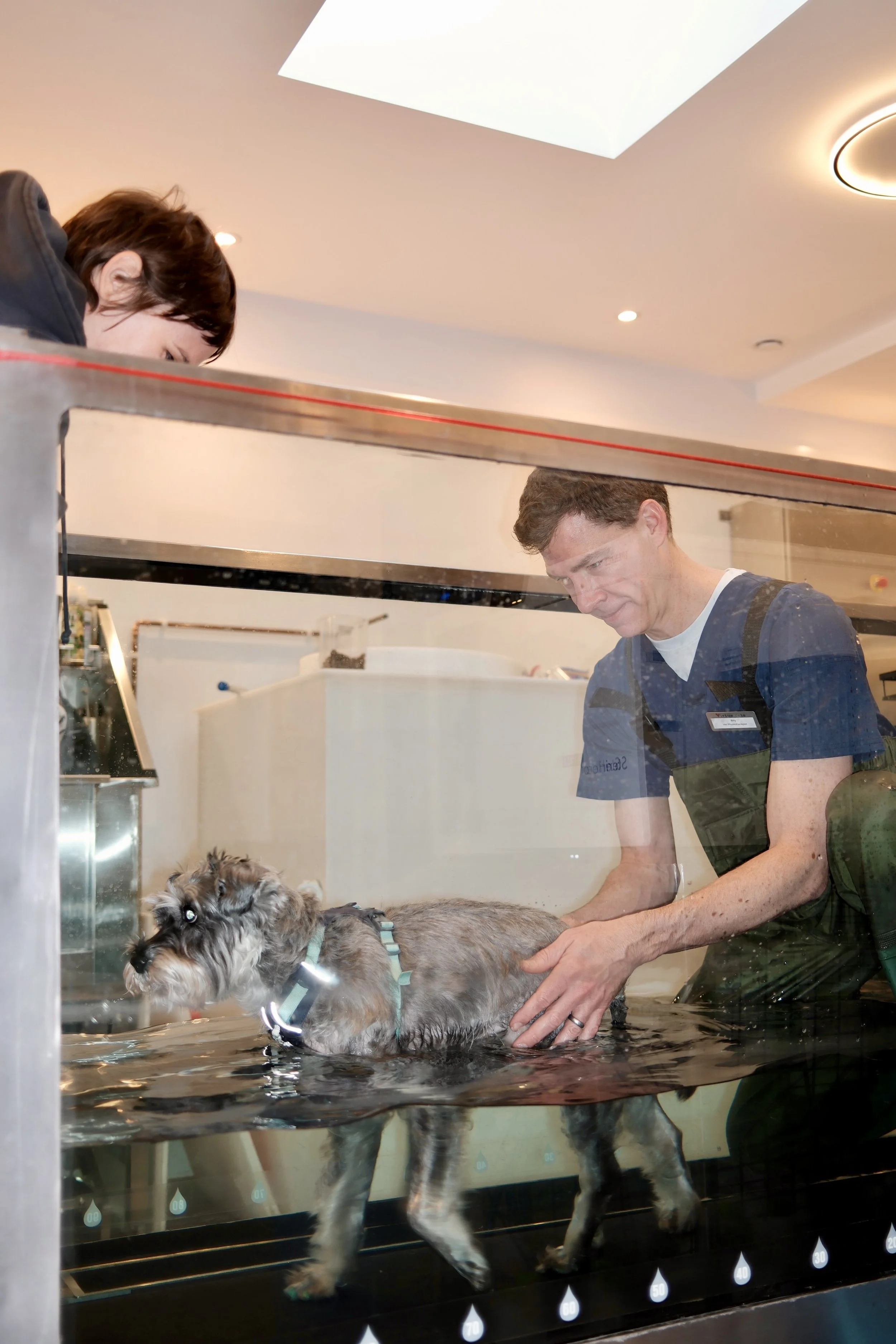 Fully-integrated Veterinary Physio, Hydro &amp; Laser Rehab 