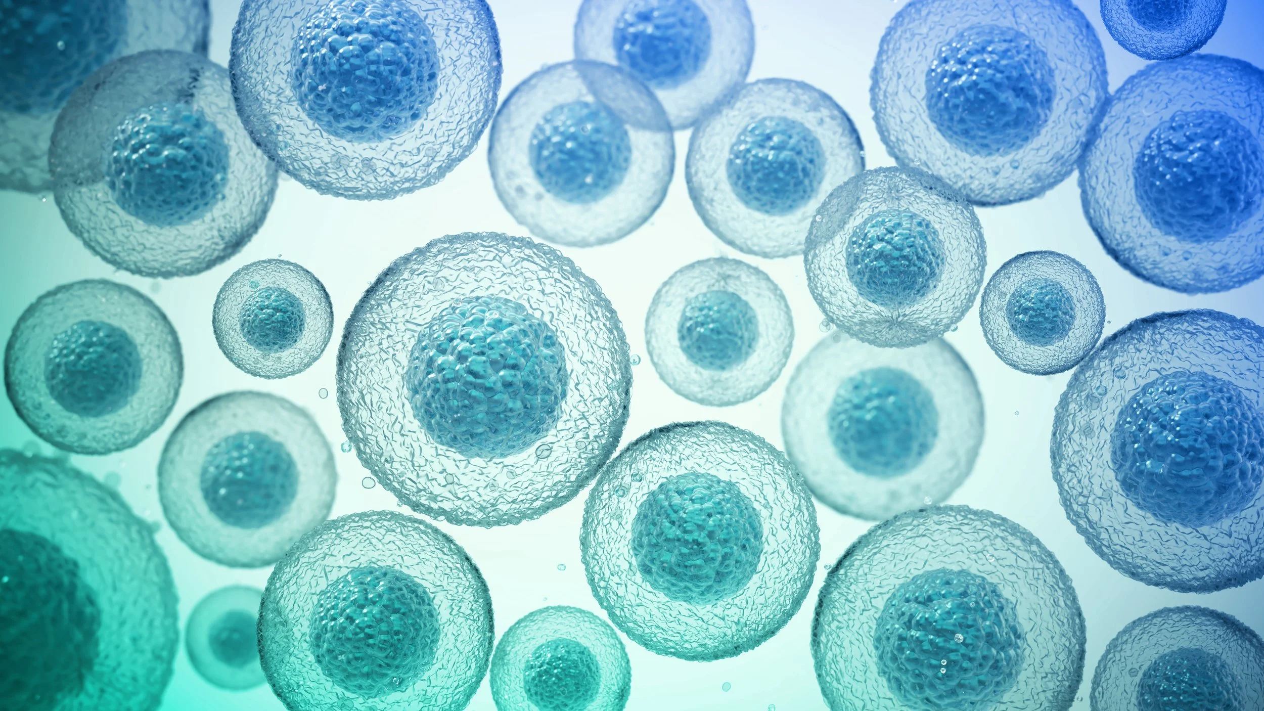 Stem Cell Treatment For Osteoarthritis