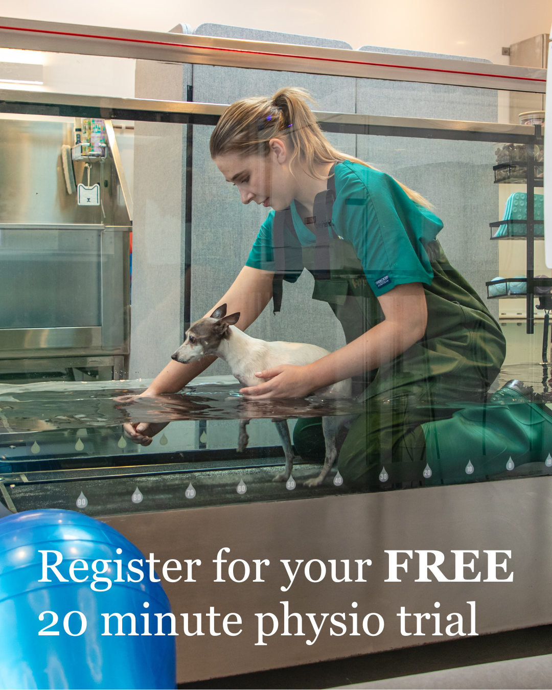 A young female vet assistant in green scrubs and a harness is holding a small white and brown dog in a veterinary water therapy tank.