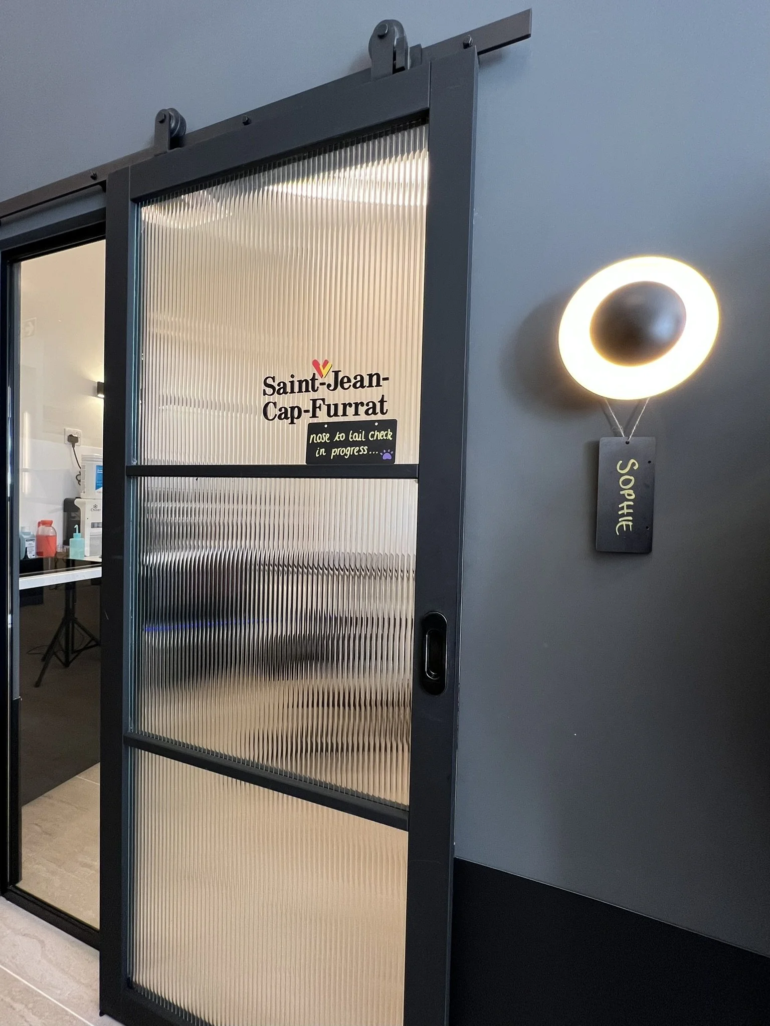 A sliding door with frosted glass panels and black frame, with a sign that reads 'Saint-Jean-Cap-Furrat' and 'nose to tail check in progress...'. To the right, a wall-mounted light fixture with a spherical bulb and halo effect, with a small sign hang