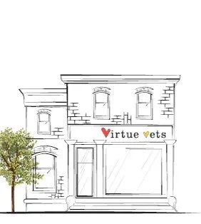 Exterior of a veterinary clinic named 'Virtue Vets' on a city street, with black railing, two potted plants, and a large glass window showing the interior.