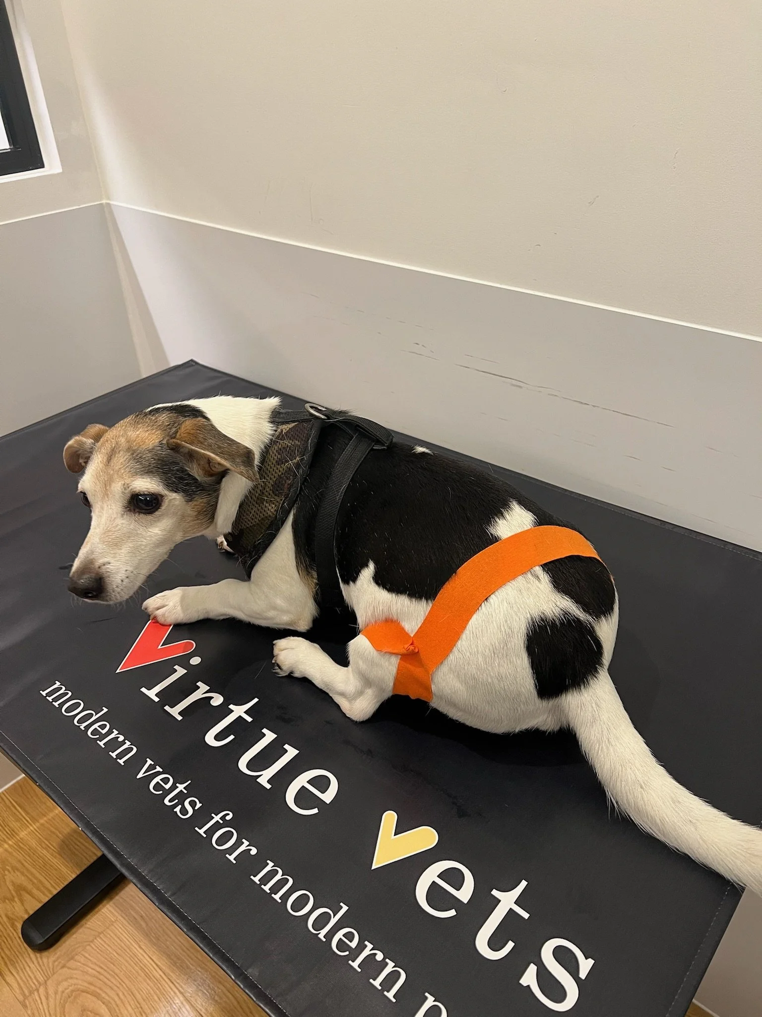 Kinetic Taping 1.jpg