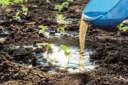 History and Heritage: Loy Digging