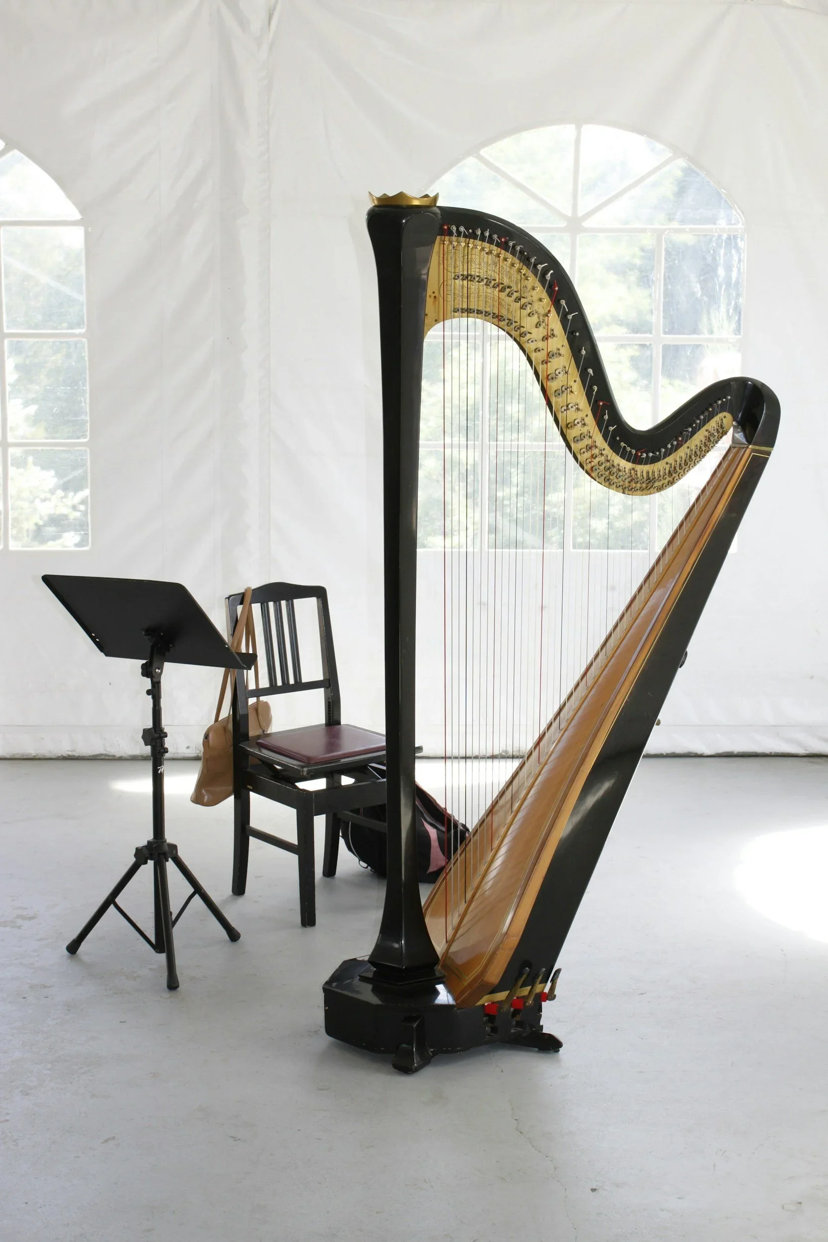 The Heartbeat of a Nation: The Irish Harp