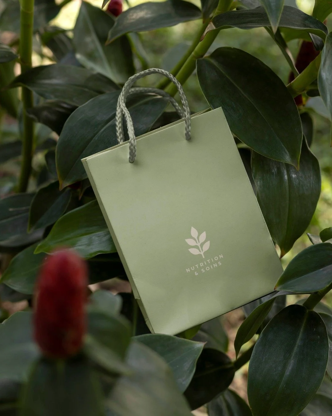 Maison Bella accompagne les femmes entrepreneuses pour qu&rsquo;elles puissent lancer et d&eacute;velopper leur entreprise avec confiance et s&eacute;r&eacute;nit&eacute;.

Ici, pas de pression, pas de jugements : on cr&eacute;e un v&eacute;ritable s