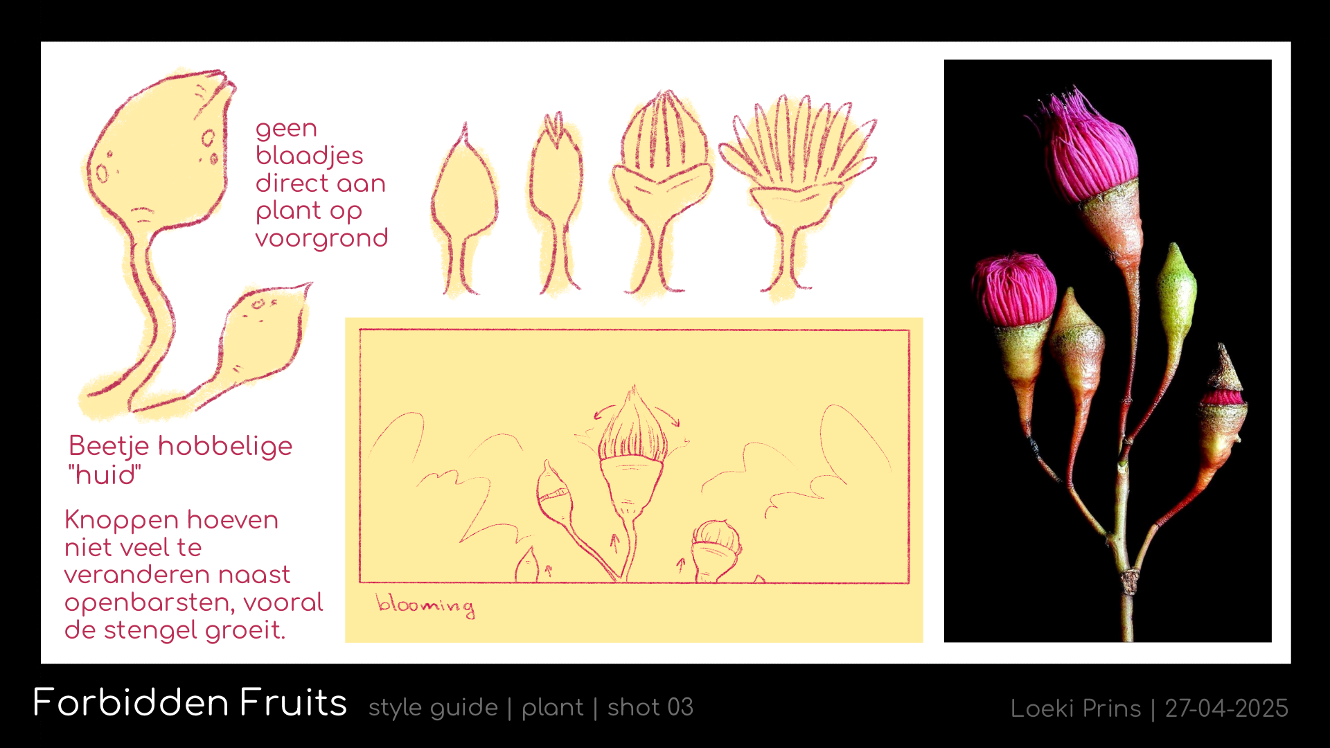 FF_styleguide_plant_03.png