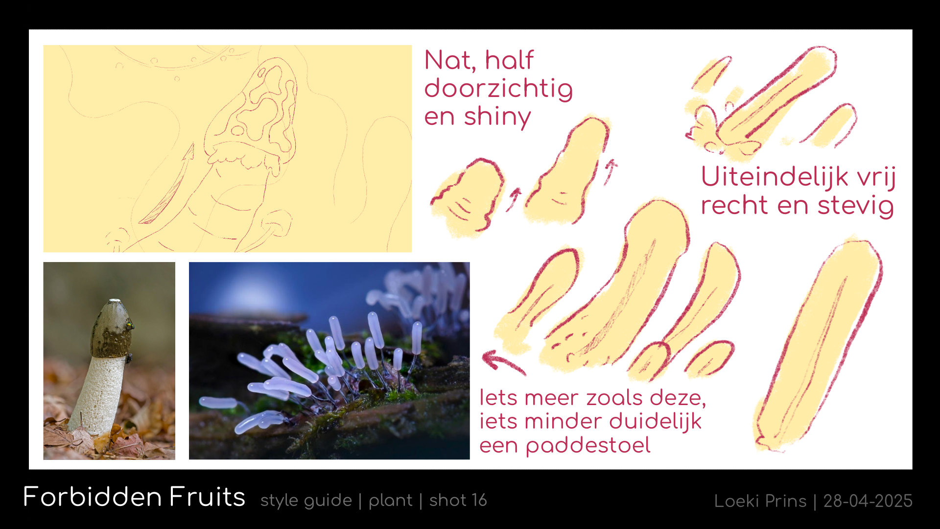 FF_styleguide_plant_16.png