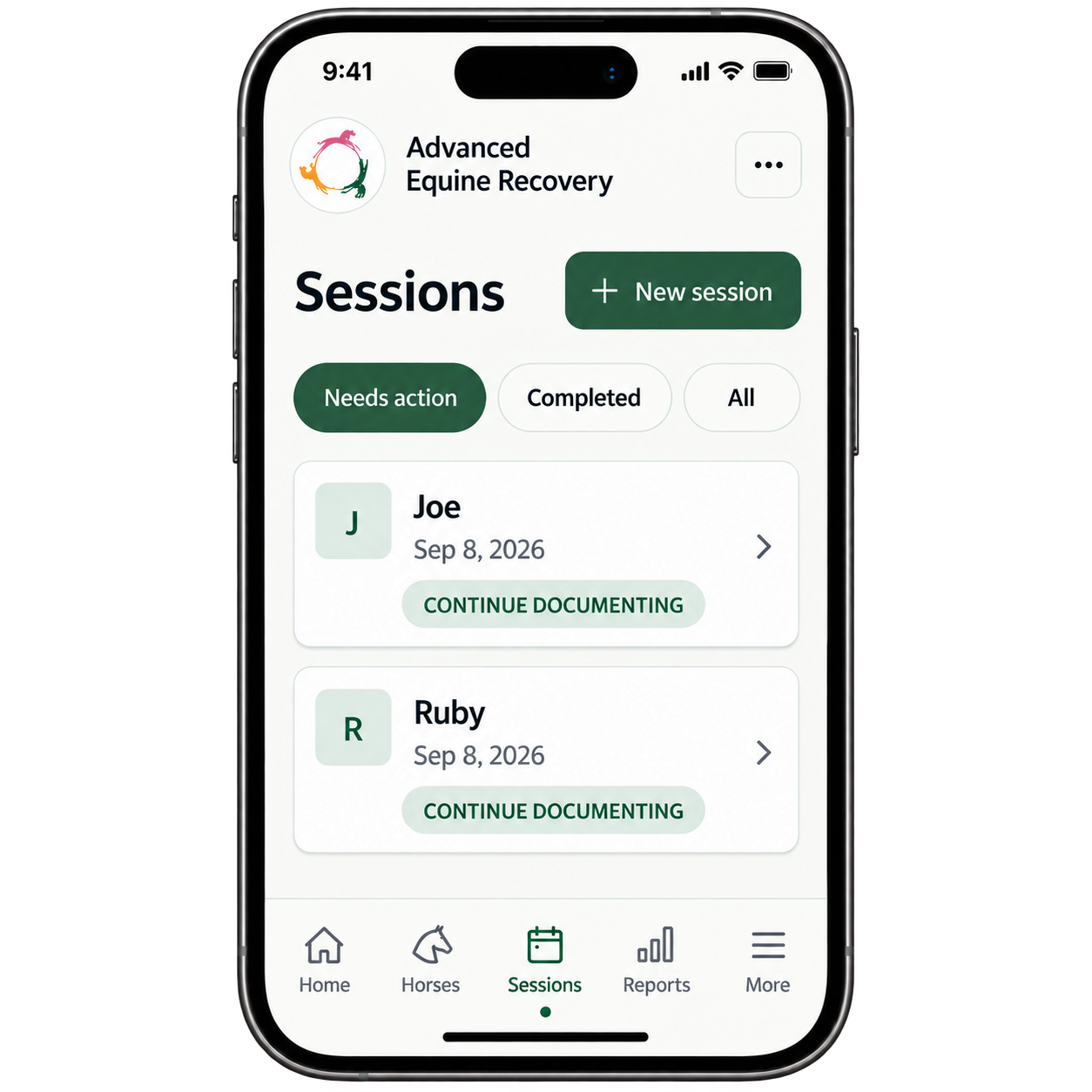 Advanced Equine Recovery app showing equine therapy sessions that need documentation, including horse session records for Joe and Ruby.