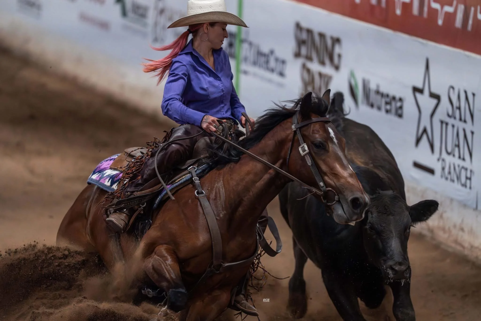 Arianna Picciotti performing on a horse the sport of reined cow horse