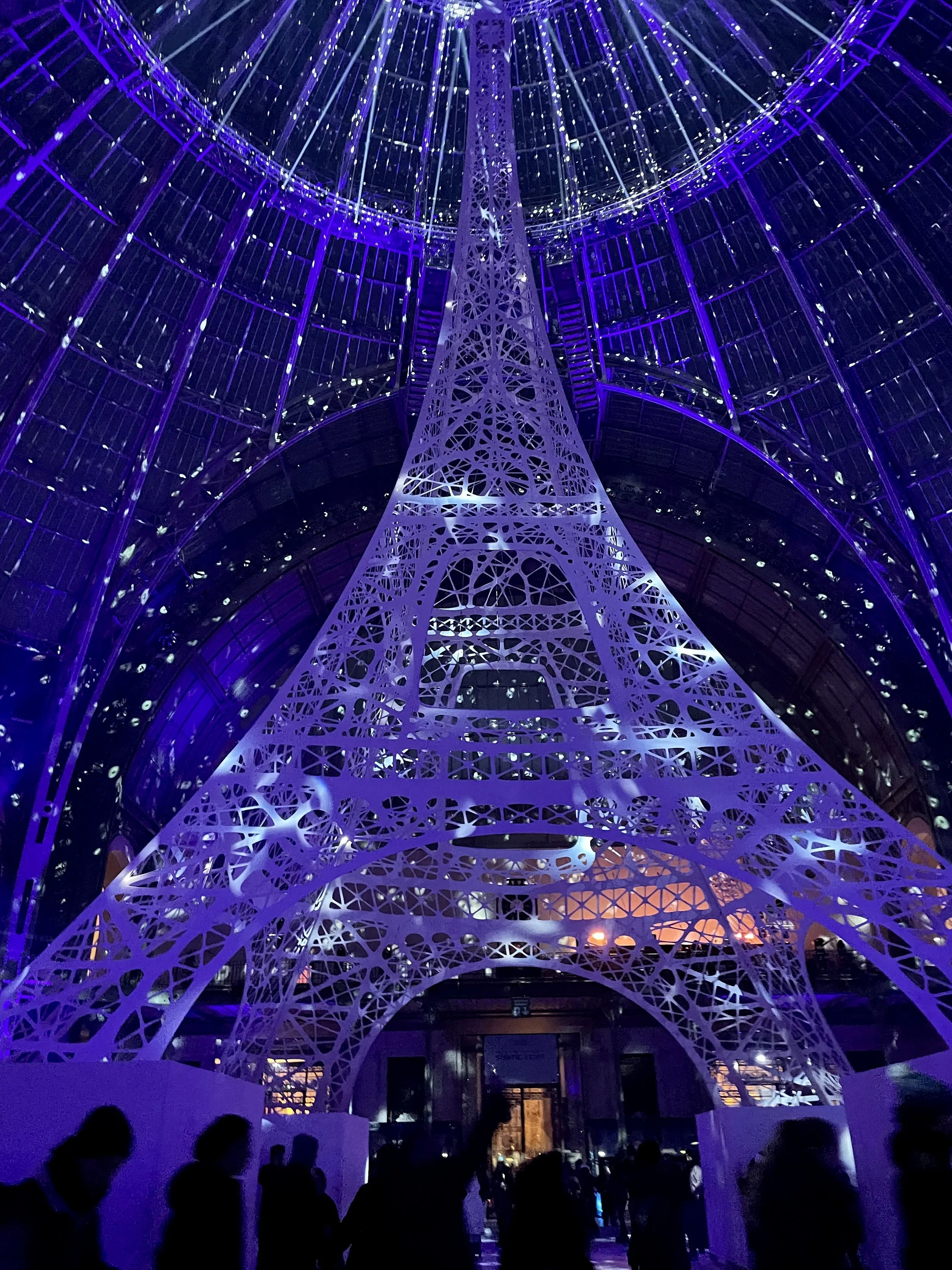 Patiner sous la verrière du Grand Palais : l’expérience la plus élégante de l’hiver à Paris