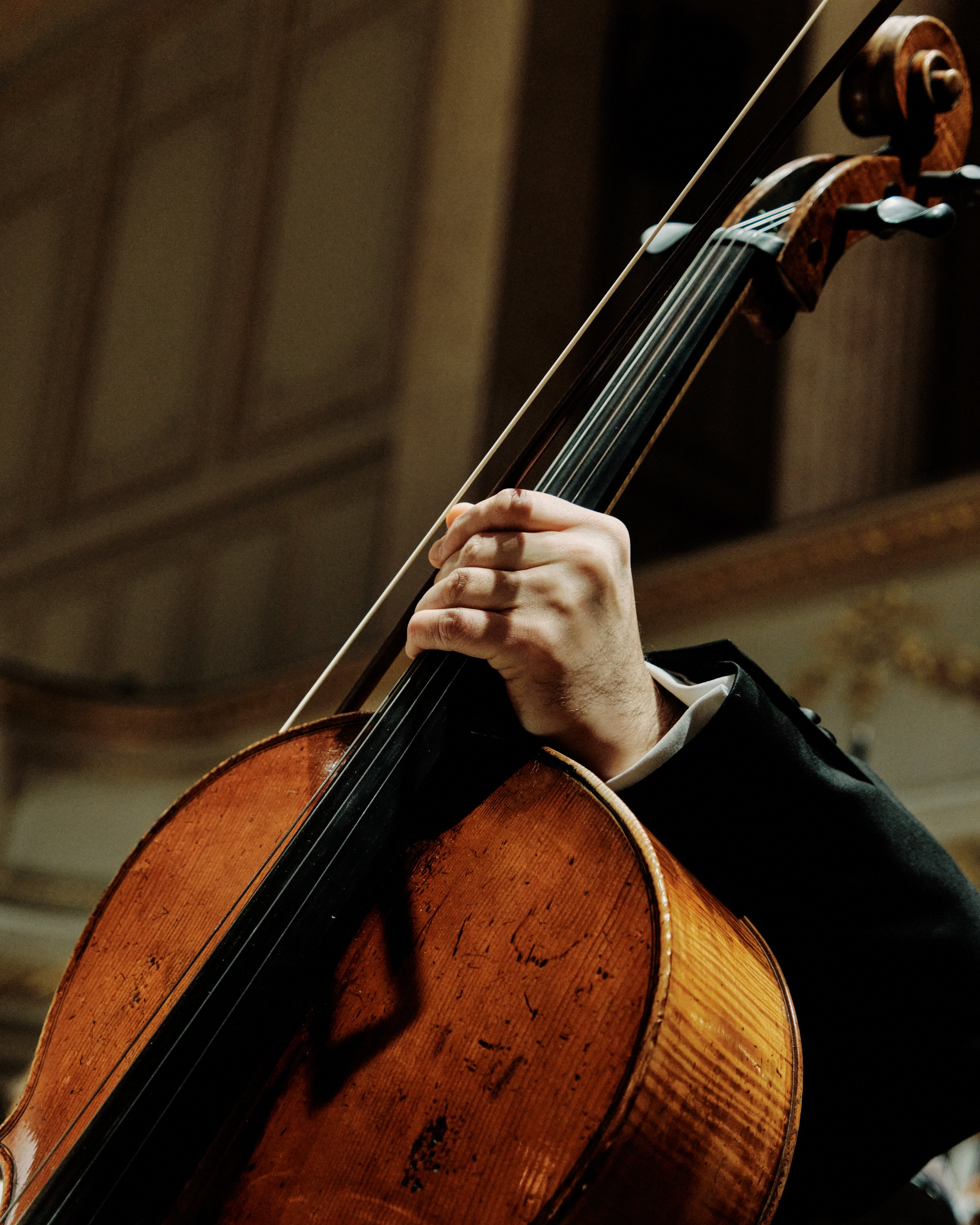 Nahaufnahme einer Person, die ein Cello spielt. Die Person trägt formelle Kleidung, die Hand ist auf den Saiten des Cellos positioniert, im Hintergrund ist ein dekorativer Raum sichtbar.