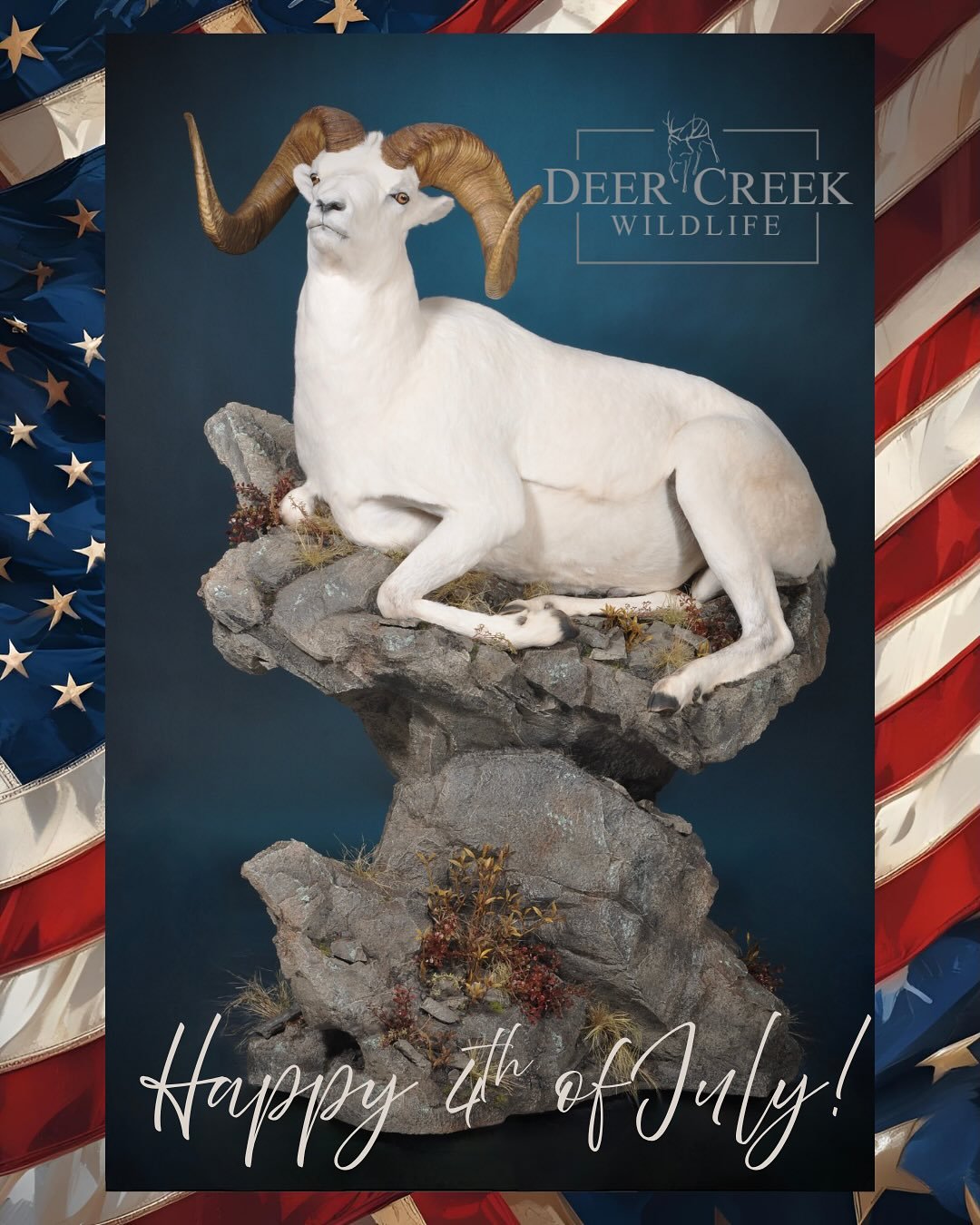Happy 4th of July! Here’s a beautiful Dall’s sheep mount that we recently finished. We are grateful for the freedom and opportunity that this great country has given us! A place that has given us a place to pursue our dreams, express our