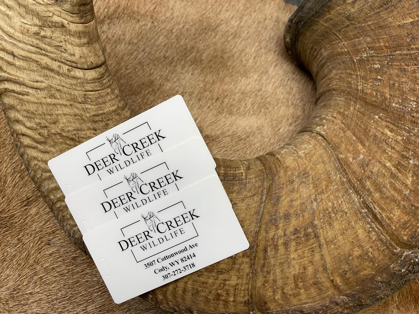 We just received a new batch of shipping tags!! If you are headed overseas, give us a call or shoot us an email and we can send you some tags for your trophies! #hunting #wildsheep #newzealandhunting #internationalhunting #huntingasia
