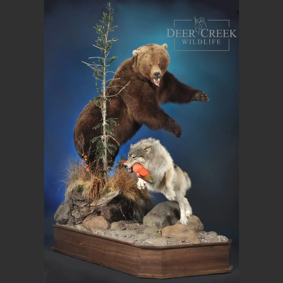 We recently had the pleasure of bringing a customer&rsquo;s vision to life through a fully customized project.  This project was sparked by the innovative work of Animal Artistry, whose creativity and execution truly stood out.
While the inspiration 