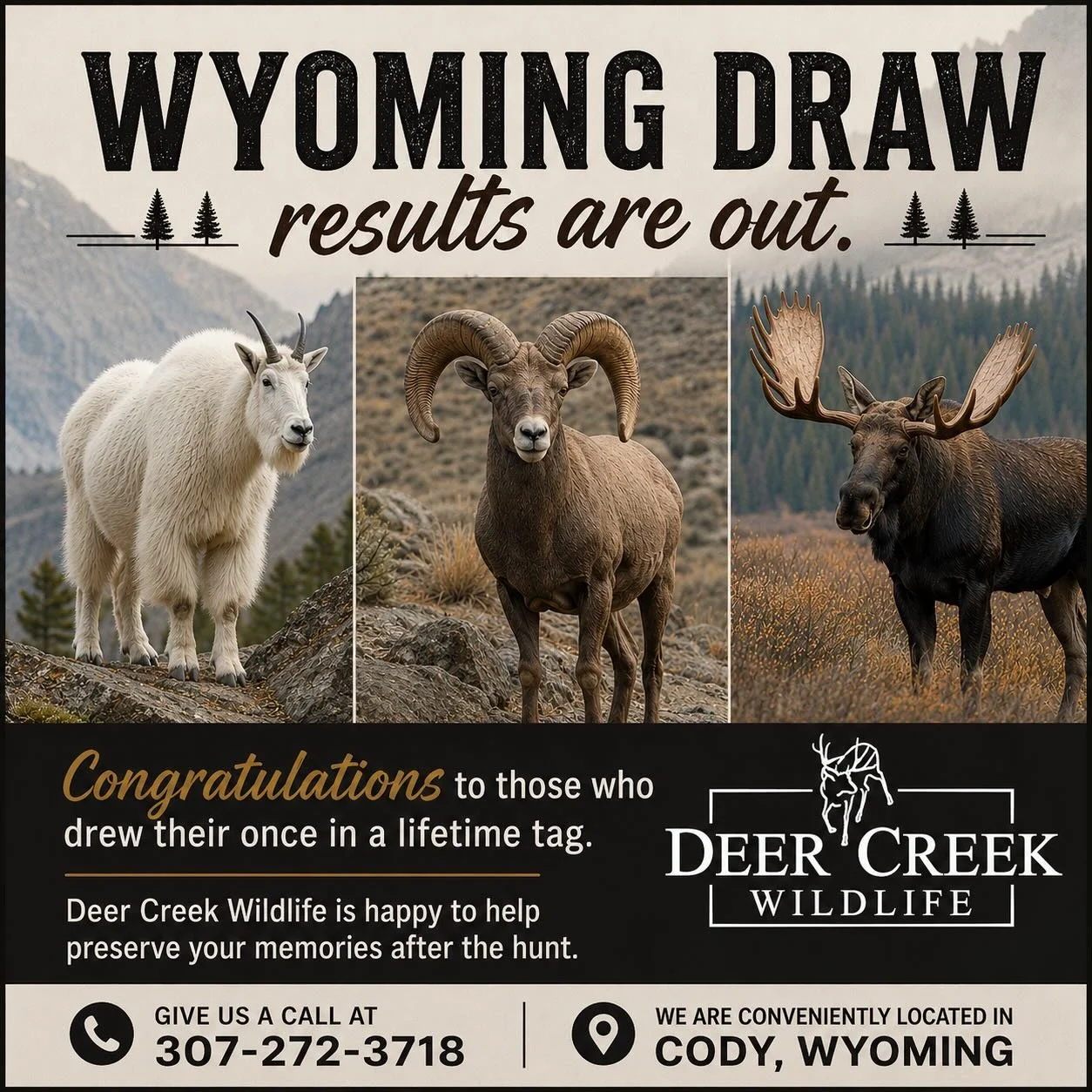 Congratulations to everyone who drew a tag! We look forward to the upcoming season!! #taxidermyart #deercreekwildlife #wildsheepfoundation