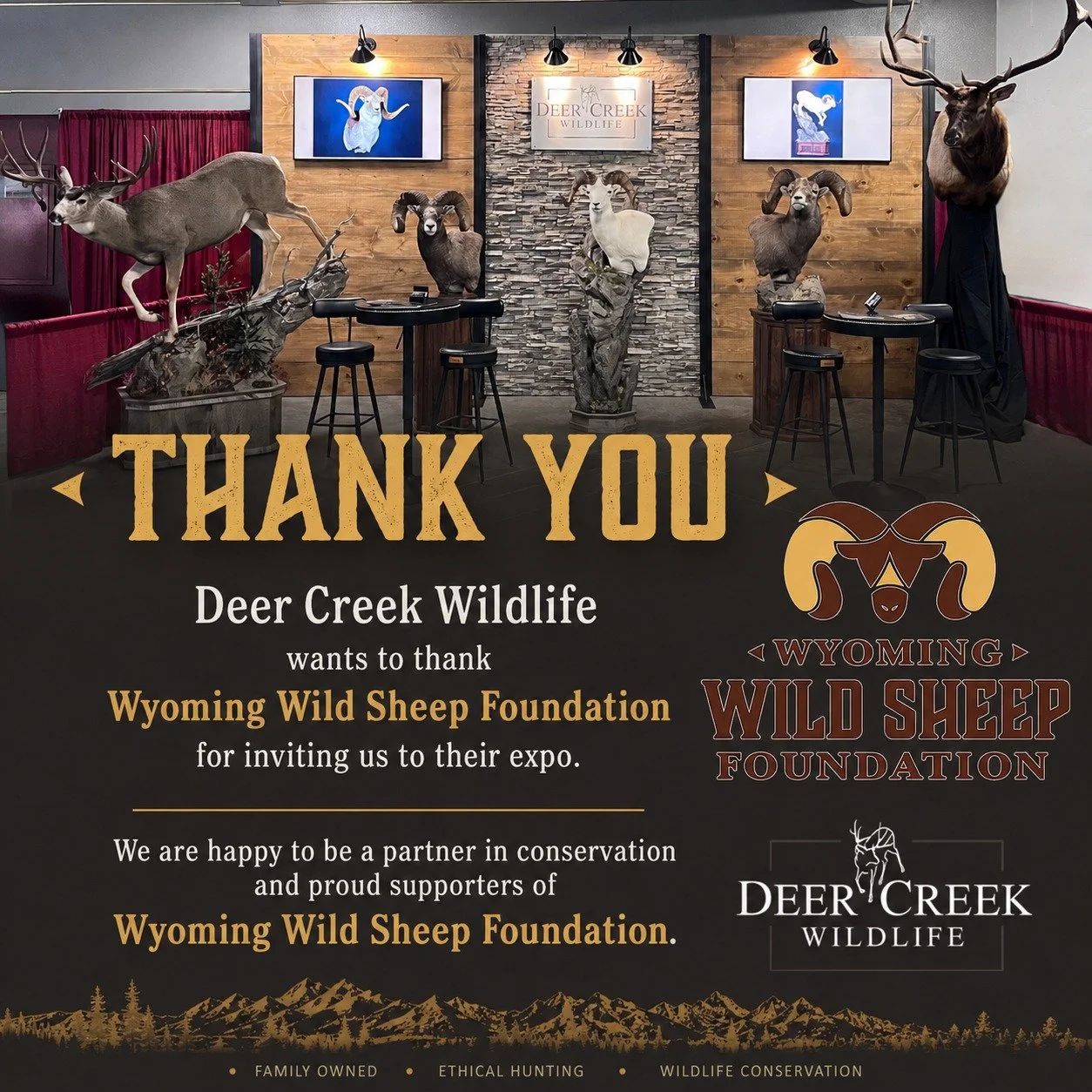 @wywildsheep Thank you for inviting us to be a part of your expo! #wywsf #wildsheepfoundation #deercreekwildlife #taxidermyart