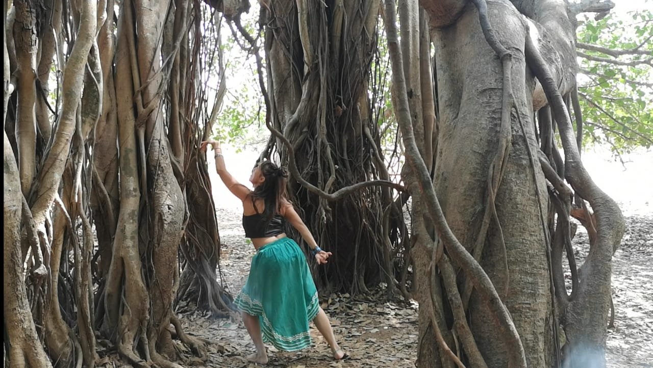 Banyan Tree.jpg