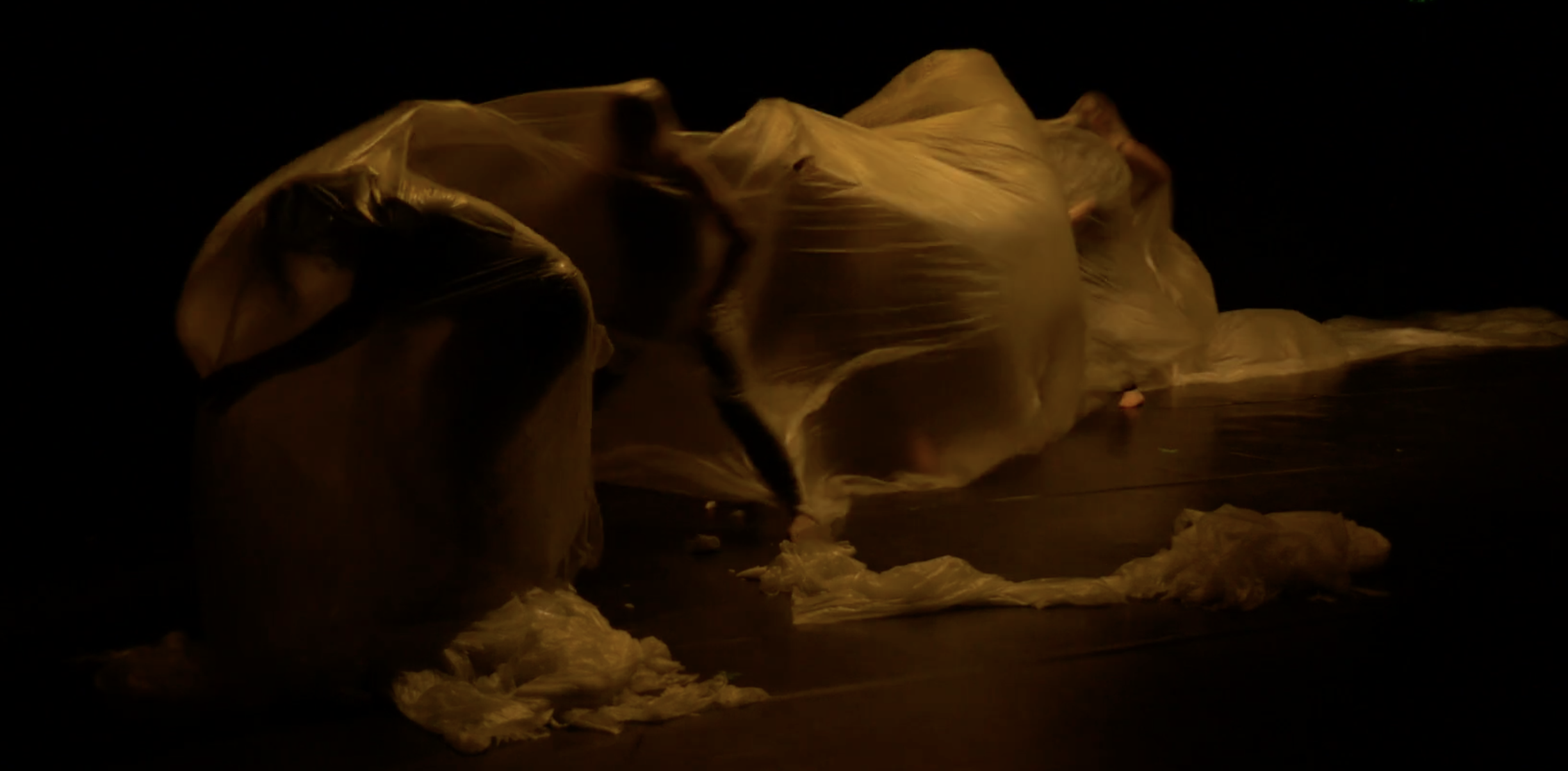 Sunday afternoon auditorium