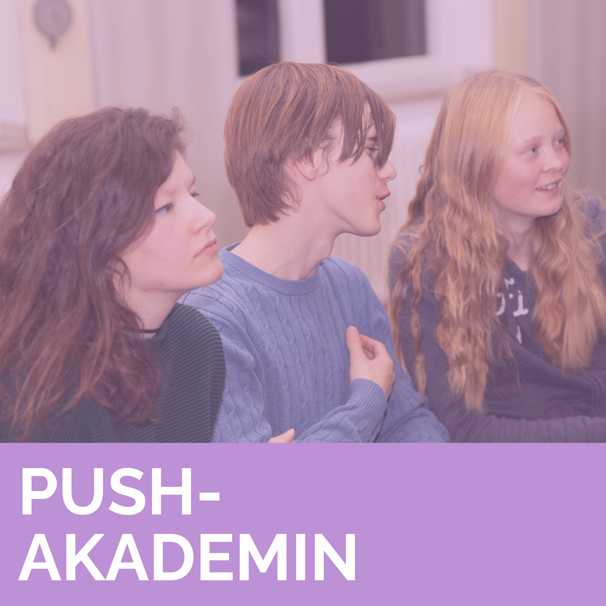 PUSH-Akademin