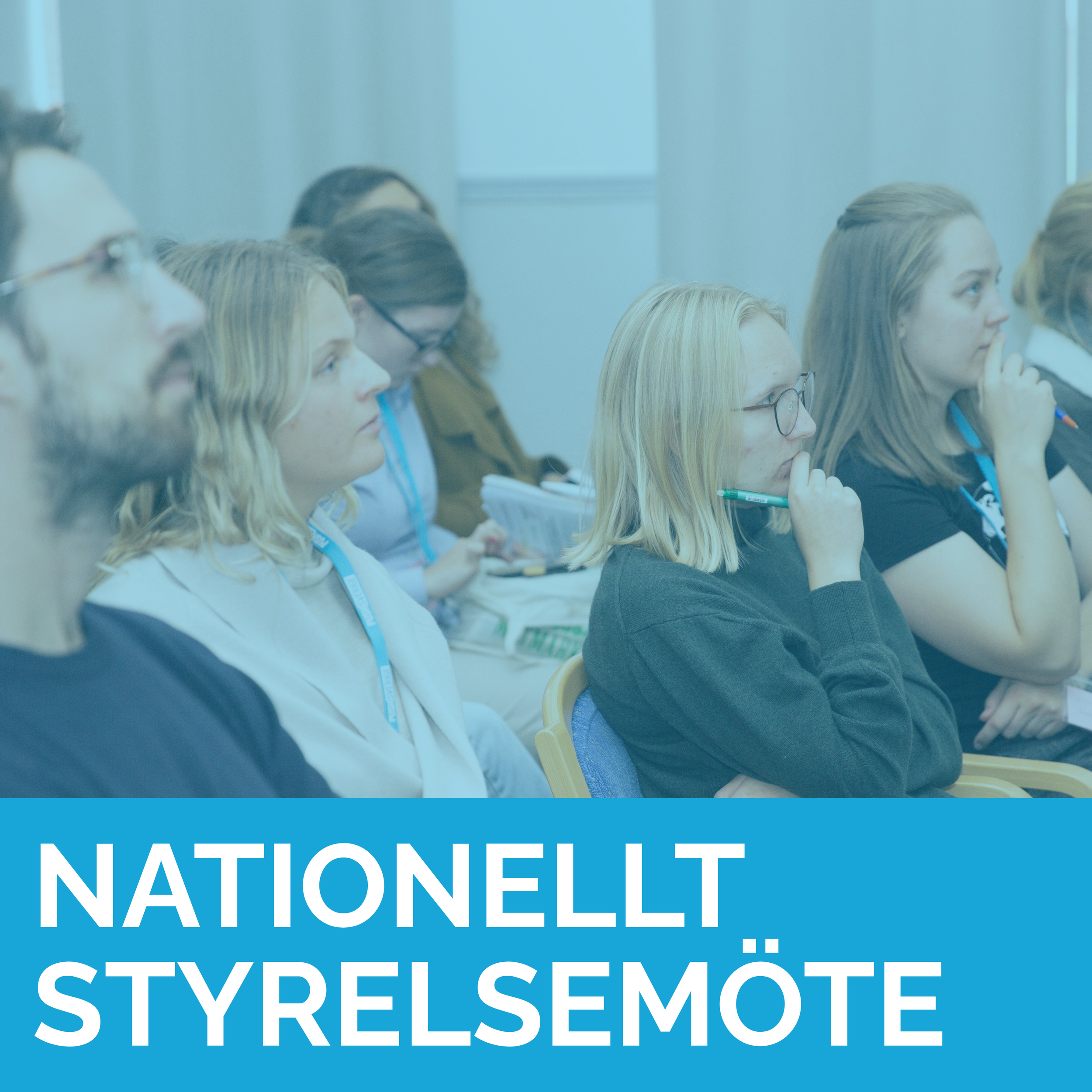 Nationellt styrelsemöte