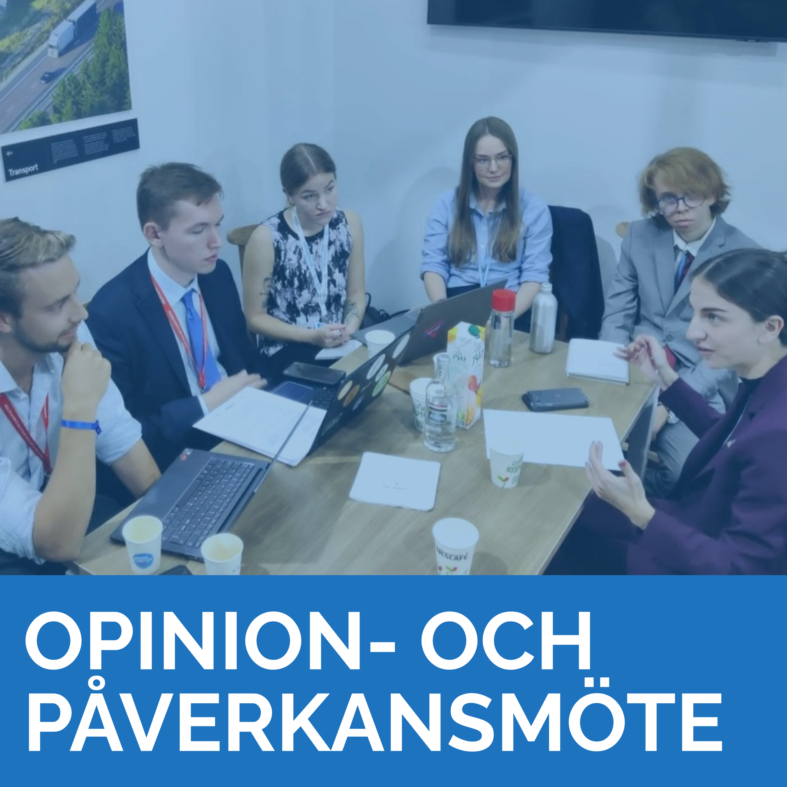 Opinion- och påverkansmöte