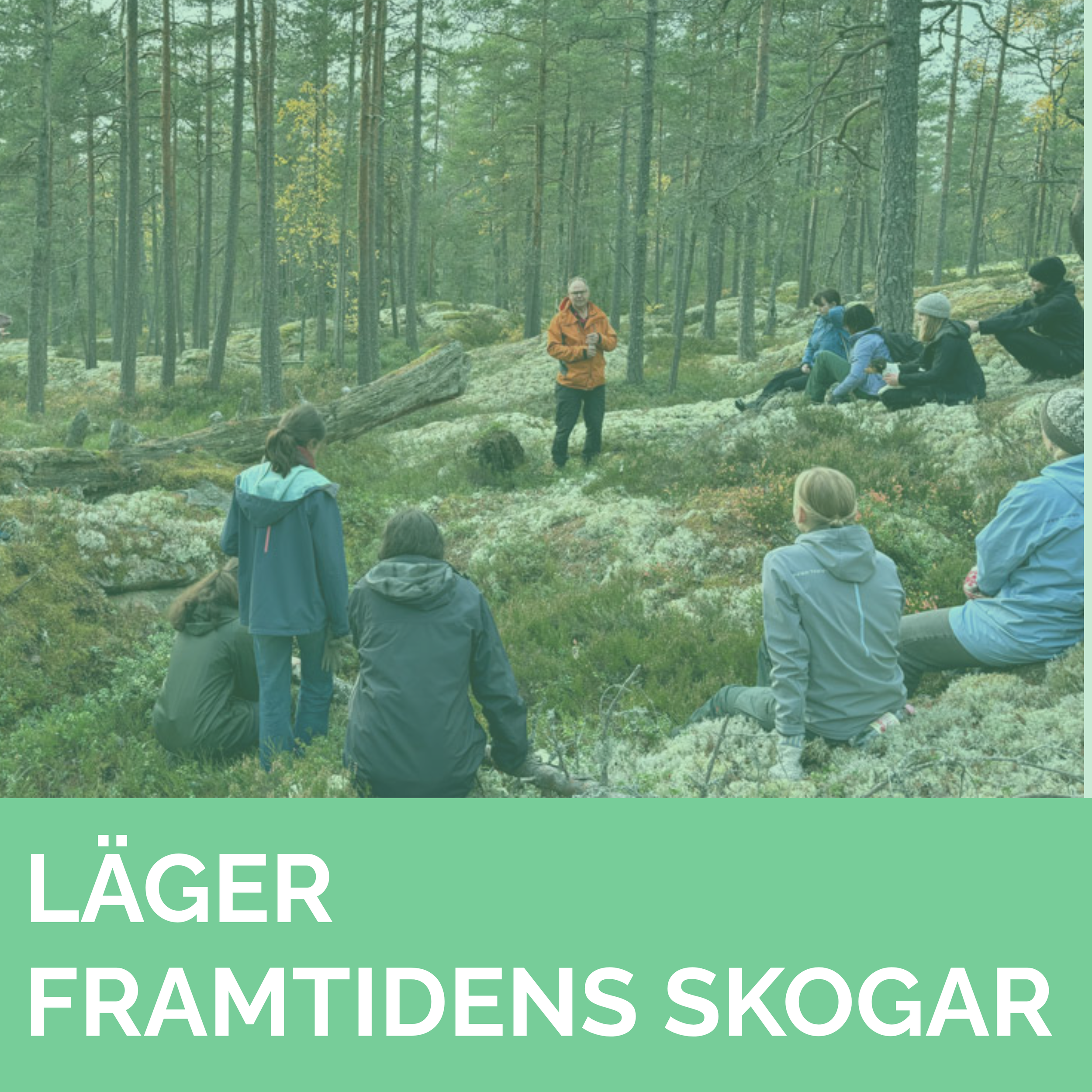 Läger Framtidens Skogar