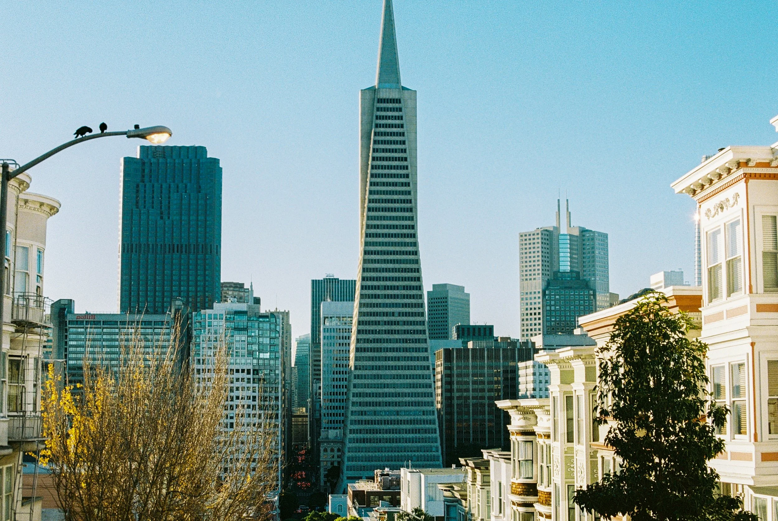 City_Briones 1_26-04.jpg