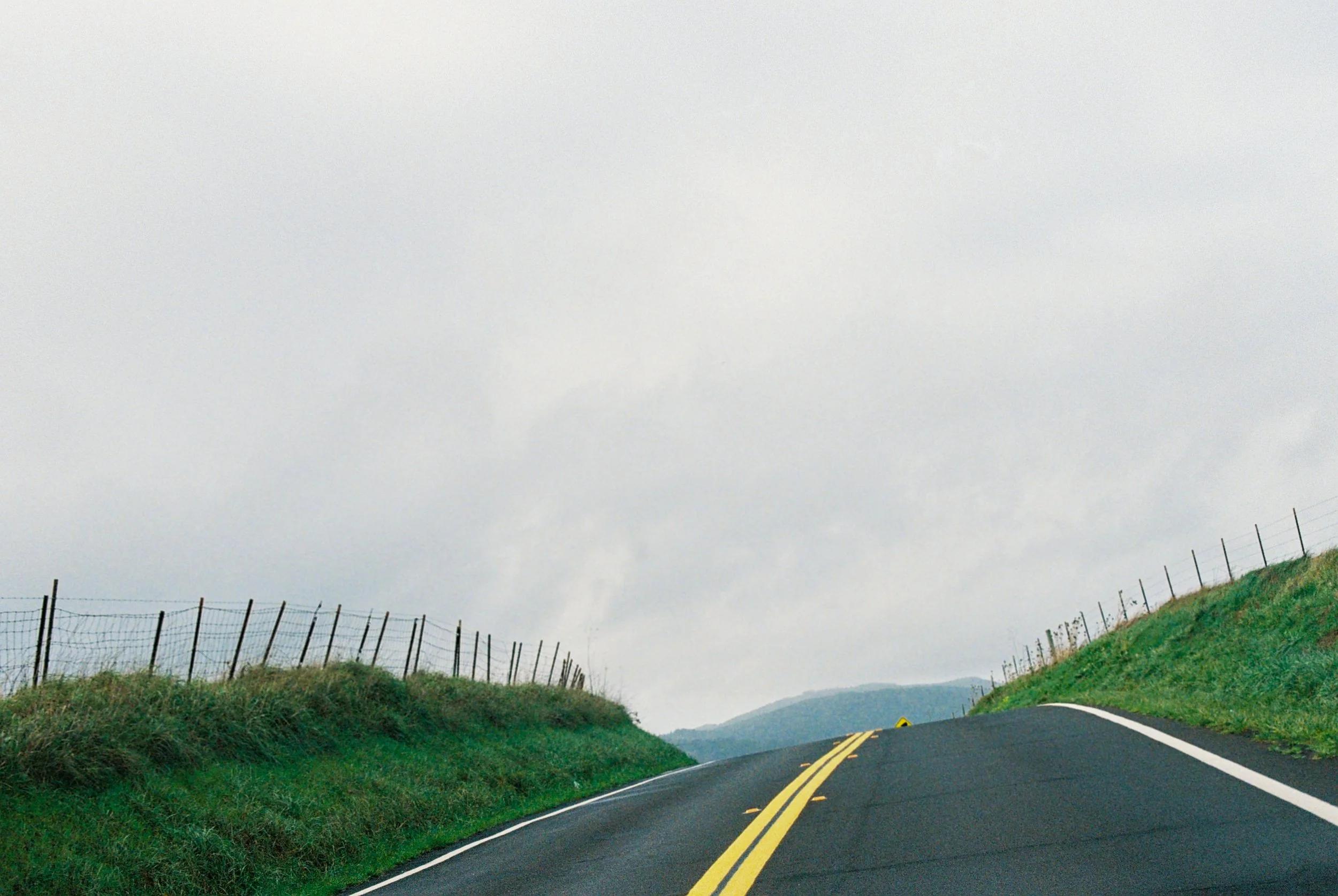 Point reyes-19-2.jpg