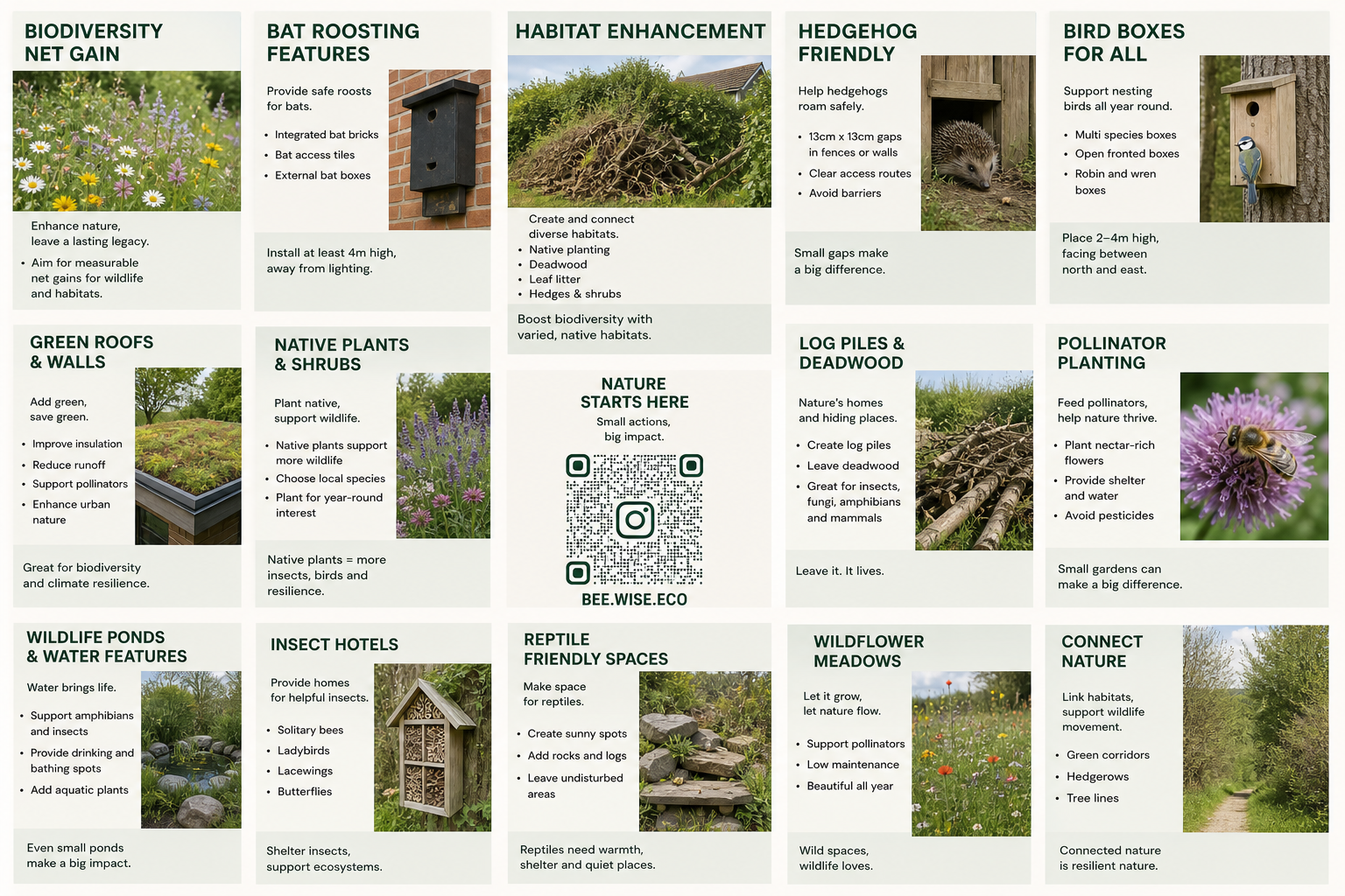 Biodiversity Enhancements for Developments: Simple Ways to Support Wildlife