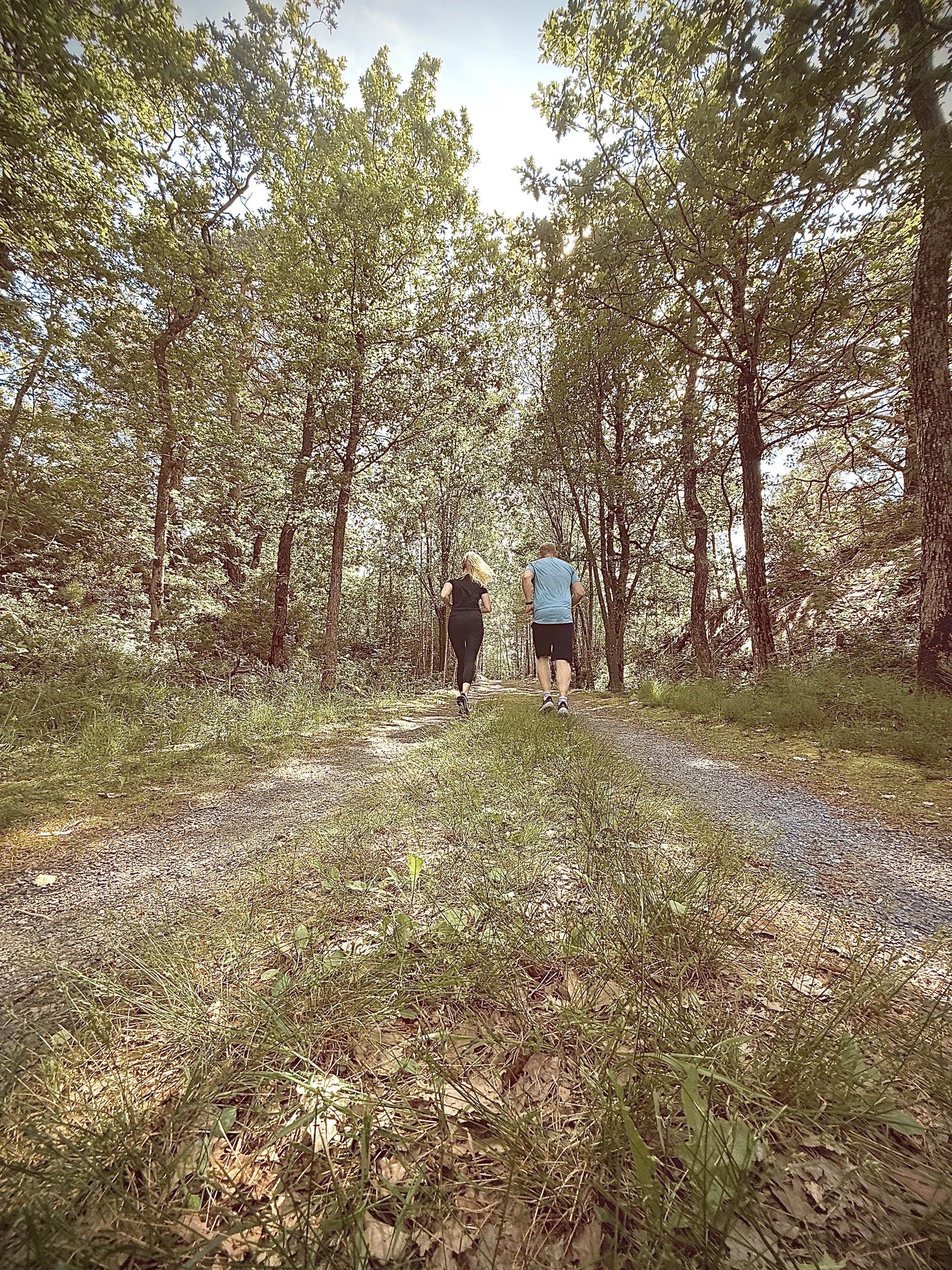 To personer går tur i en skogssti omringet av grønne trær og blader, med sollys som skinner gjennom trærne.