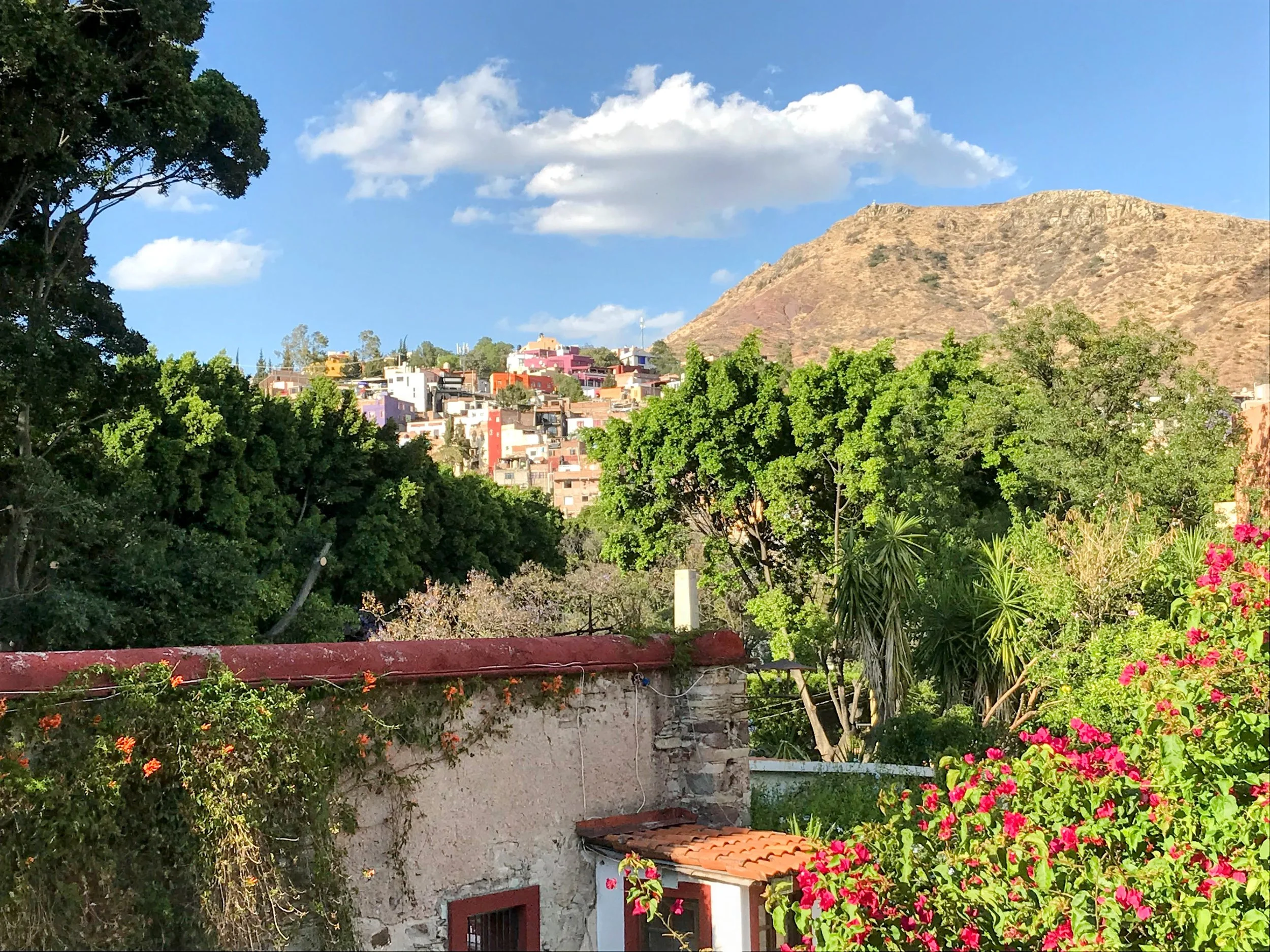 about ranacultura.jpg