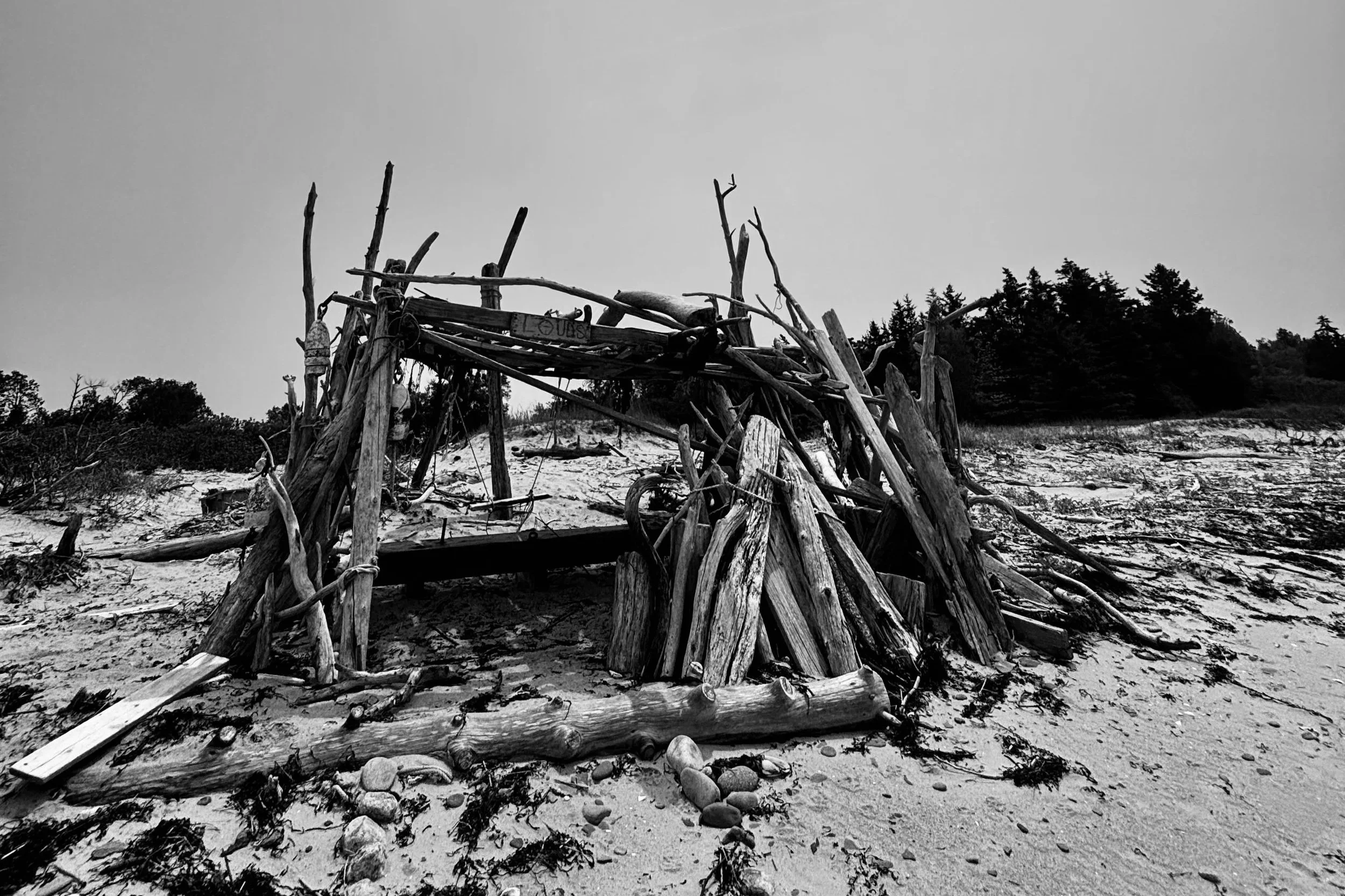 Lord of the Flies-ing