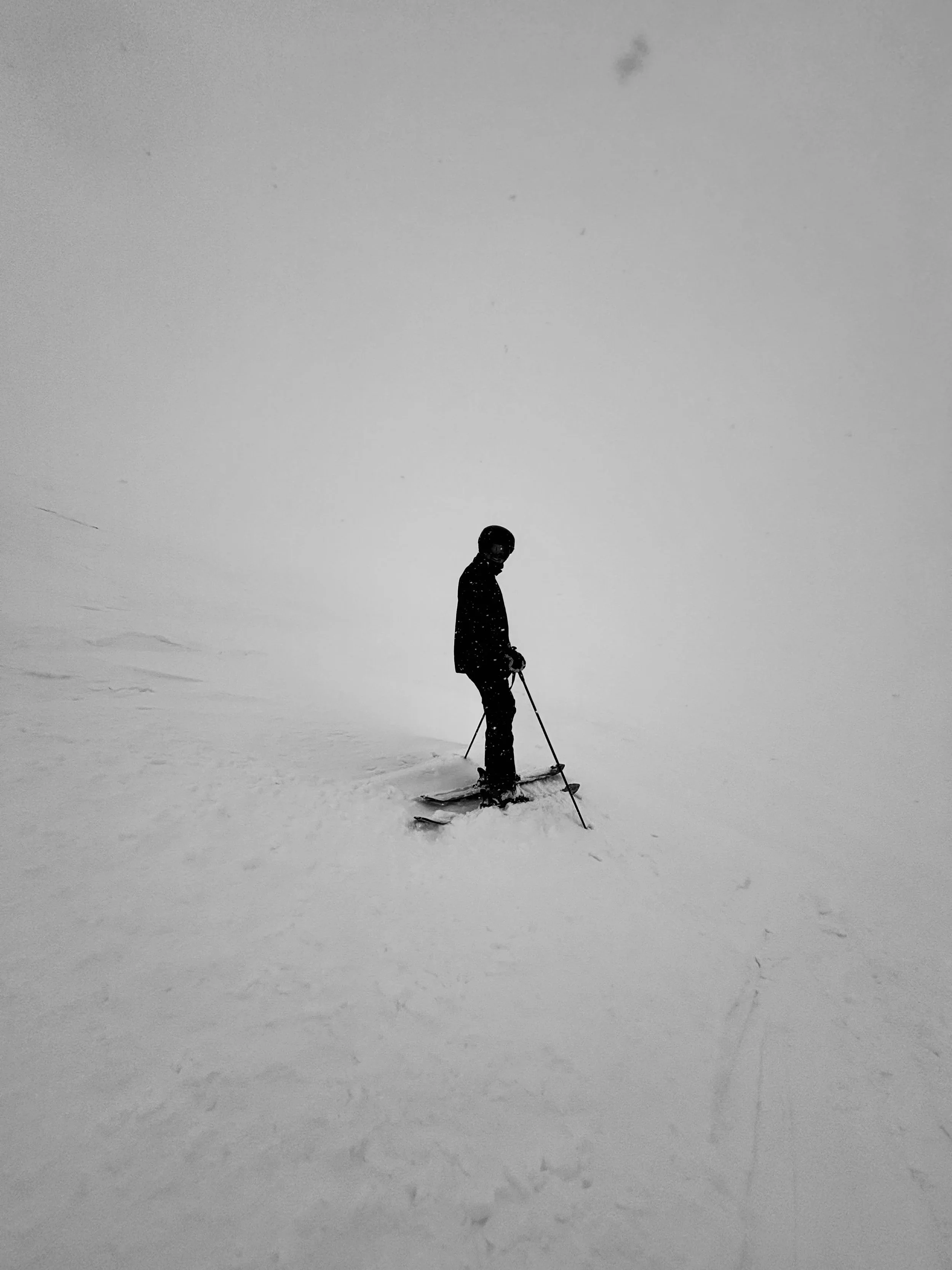 Ski The Void