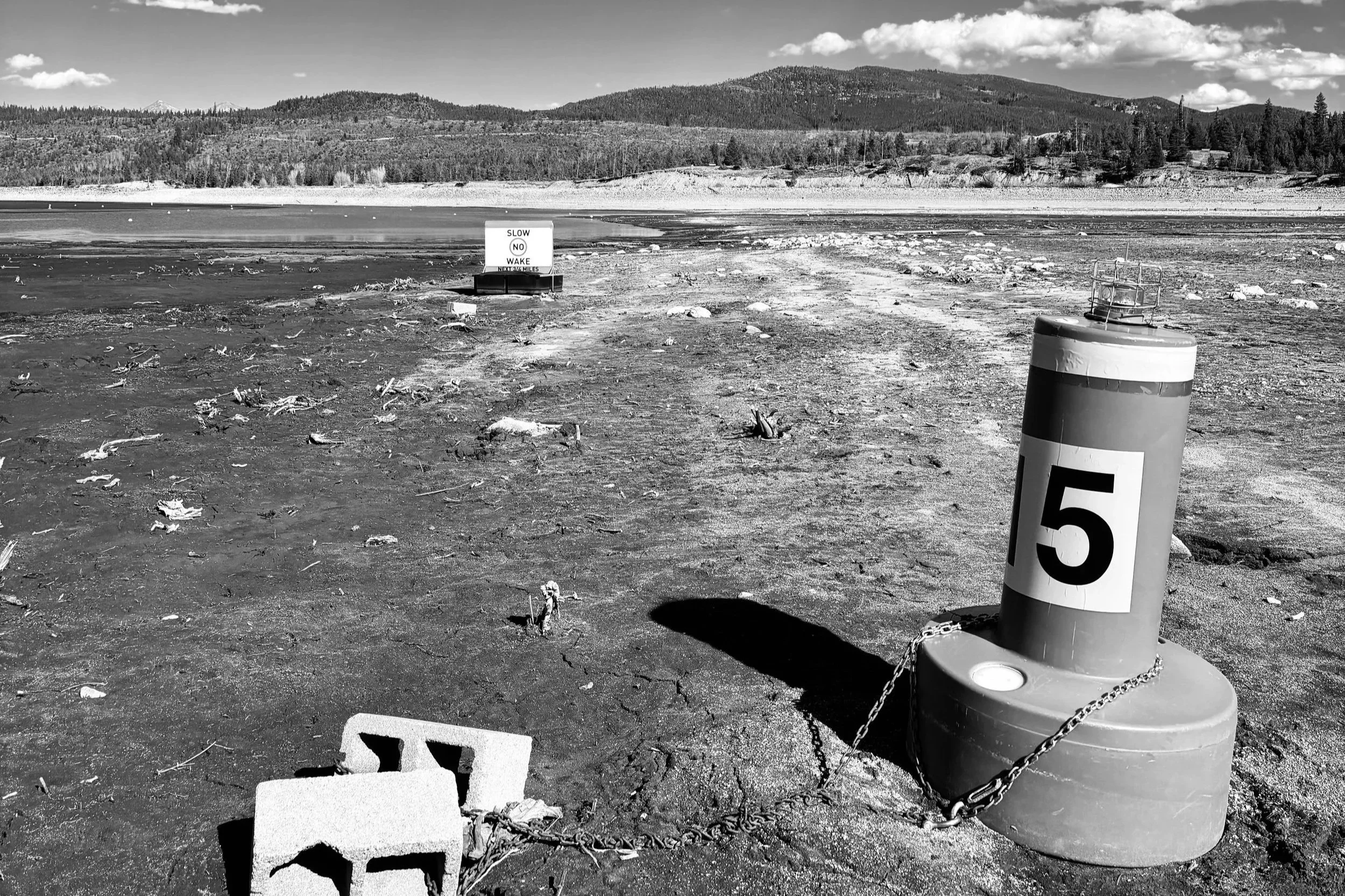 Afternoon Walk At Lake Dillon