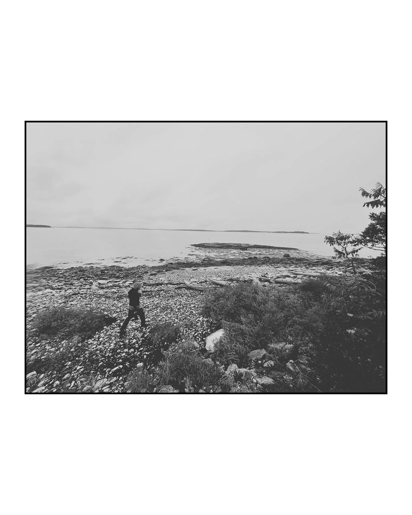 Last day guiding in Muscongus Bay: Thief in the rain.

#seakayaking #maineislands #guidelife #osprey
