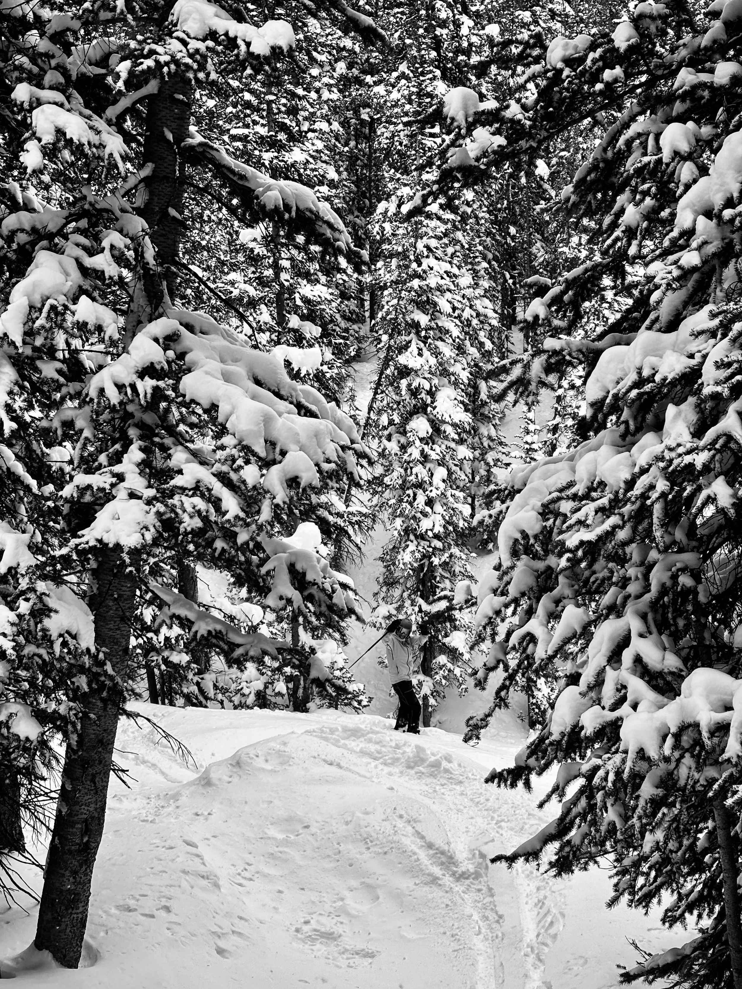 Powder Power