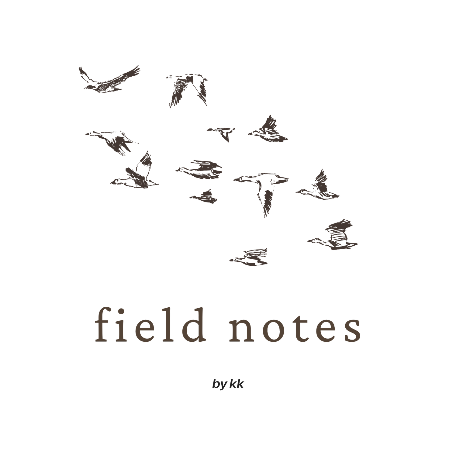 field notes by kk