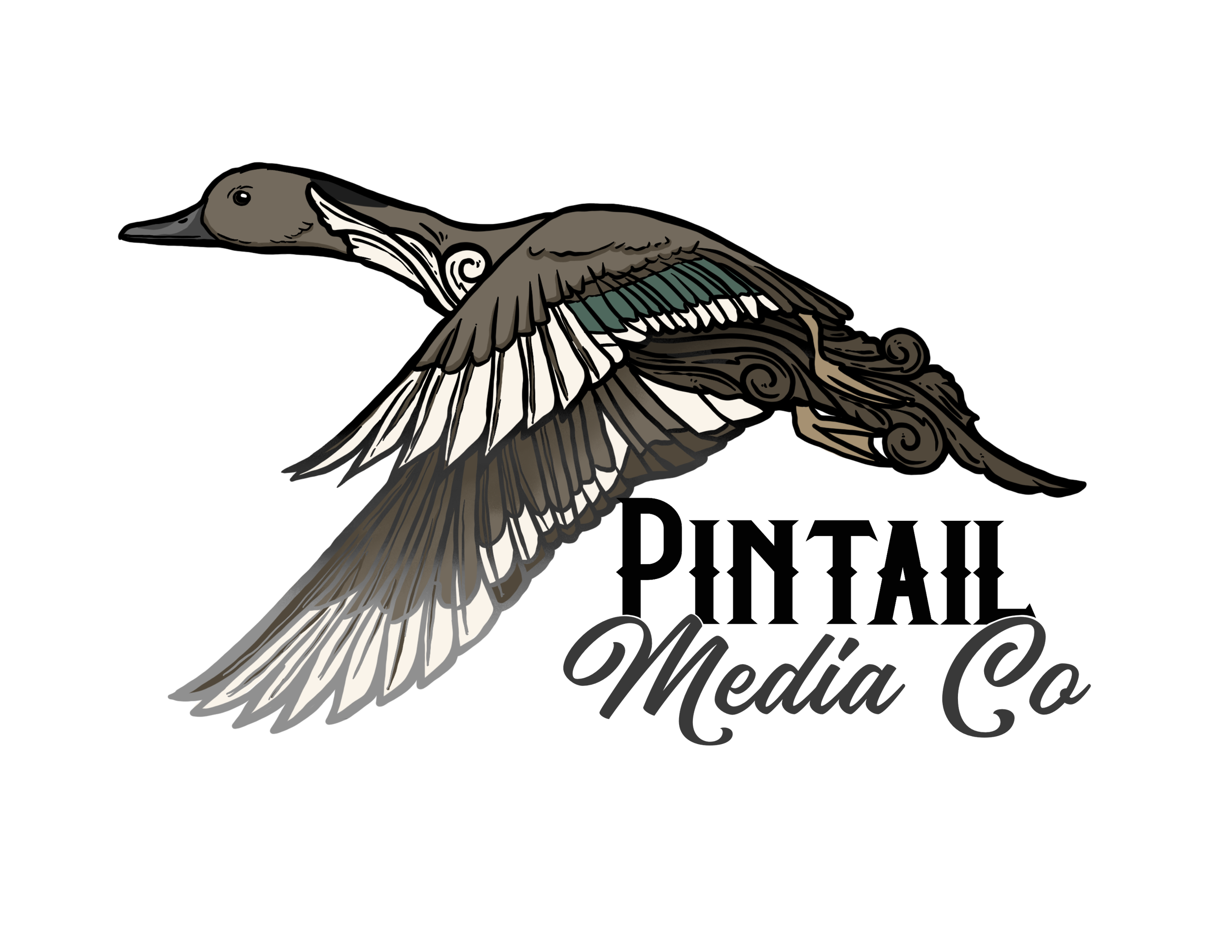 Untitled_Artwork 13.png