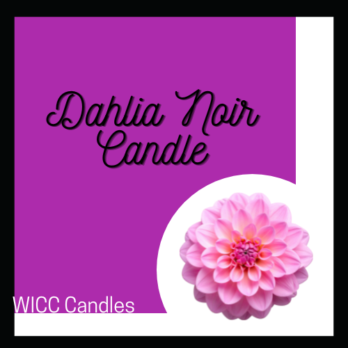 Dalhia Noir Candle