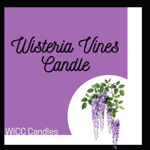 Wisteria Vine Candle