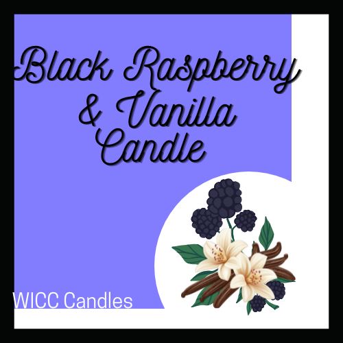 Black Raspberry & Vanilla Candle