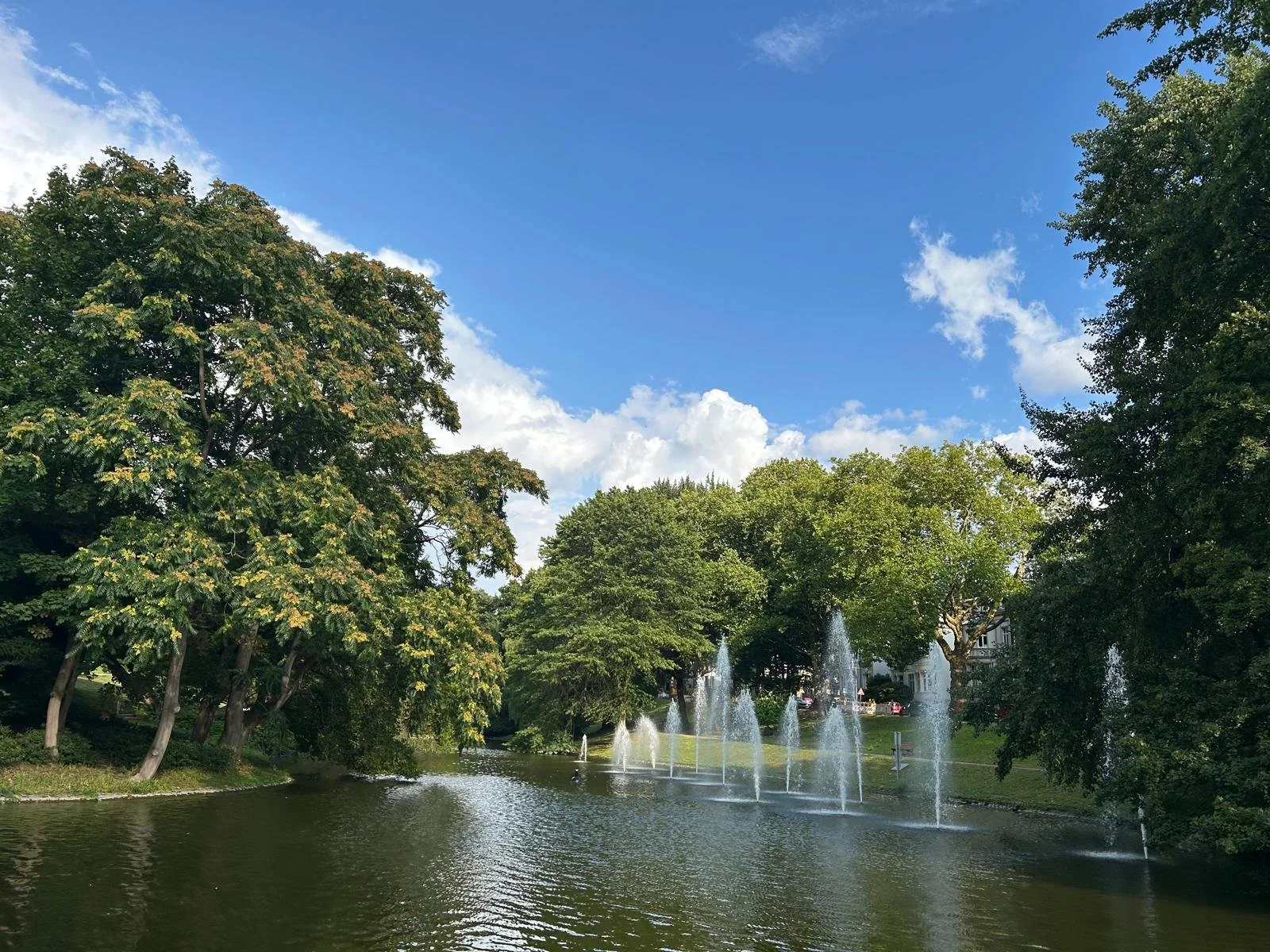 WhatsApp Image 2025-08-11 at 23.48.18-3.jpeg