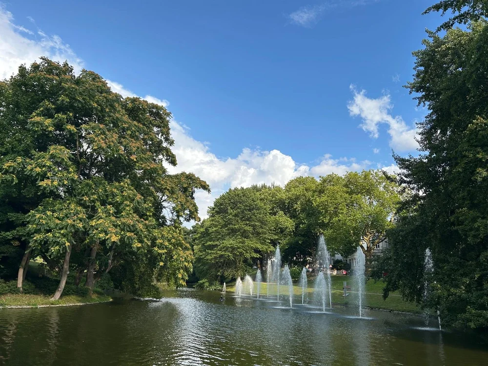 WhatsApp Image 2025-08-11 at 23.48.18-3.jpeg