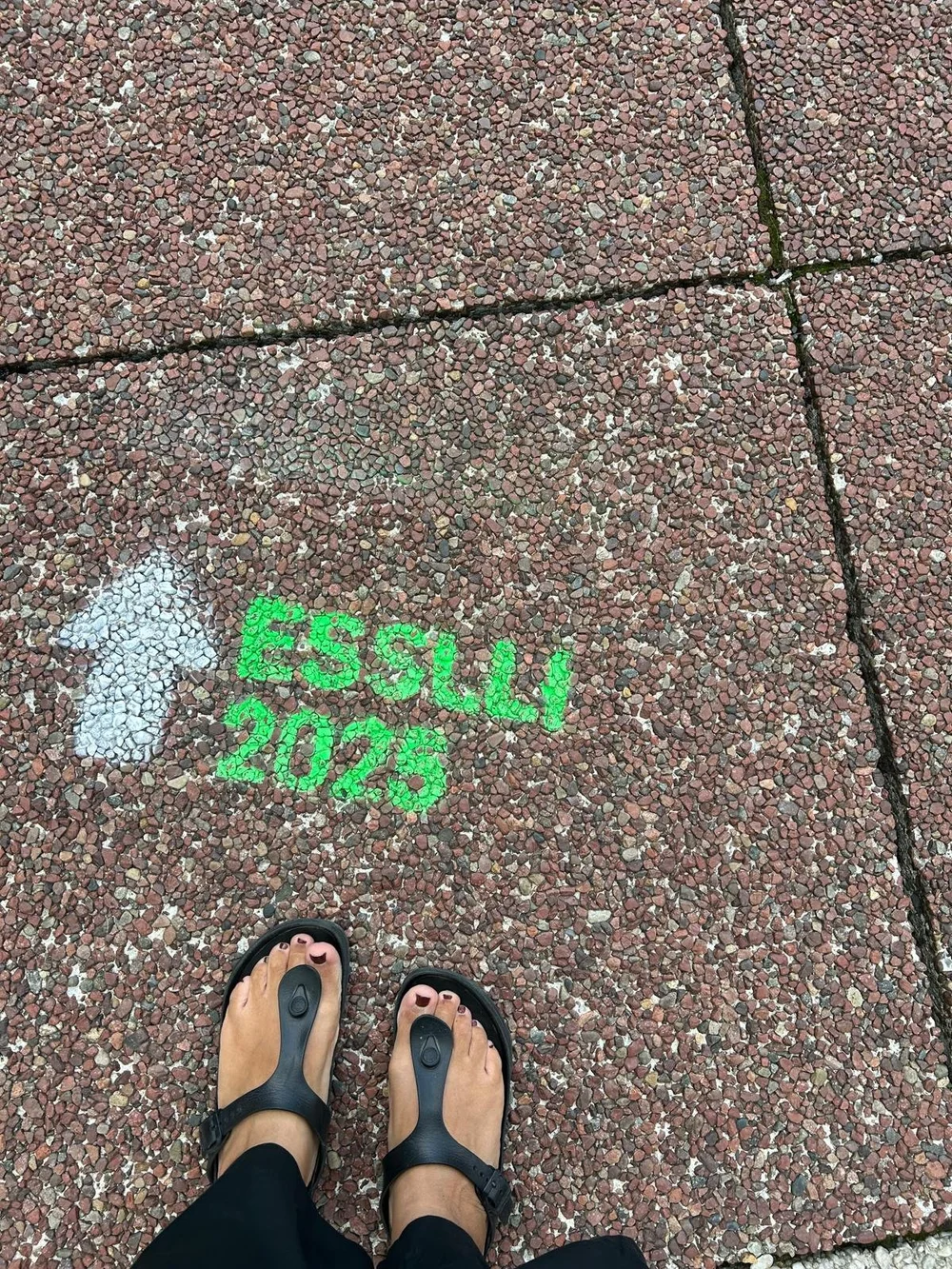 WhatsApp Image 2025-08-11 at 23.48.19.jpeg