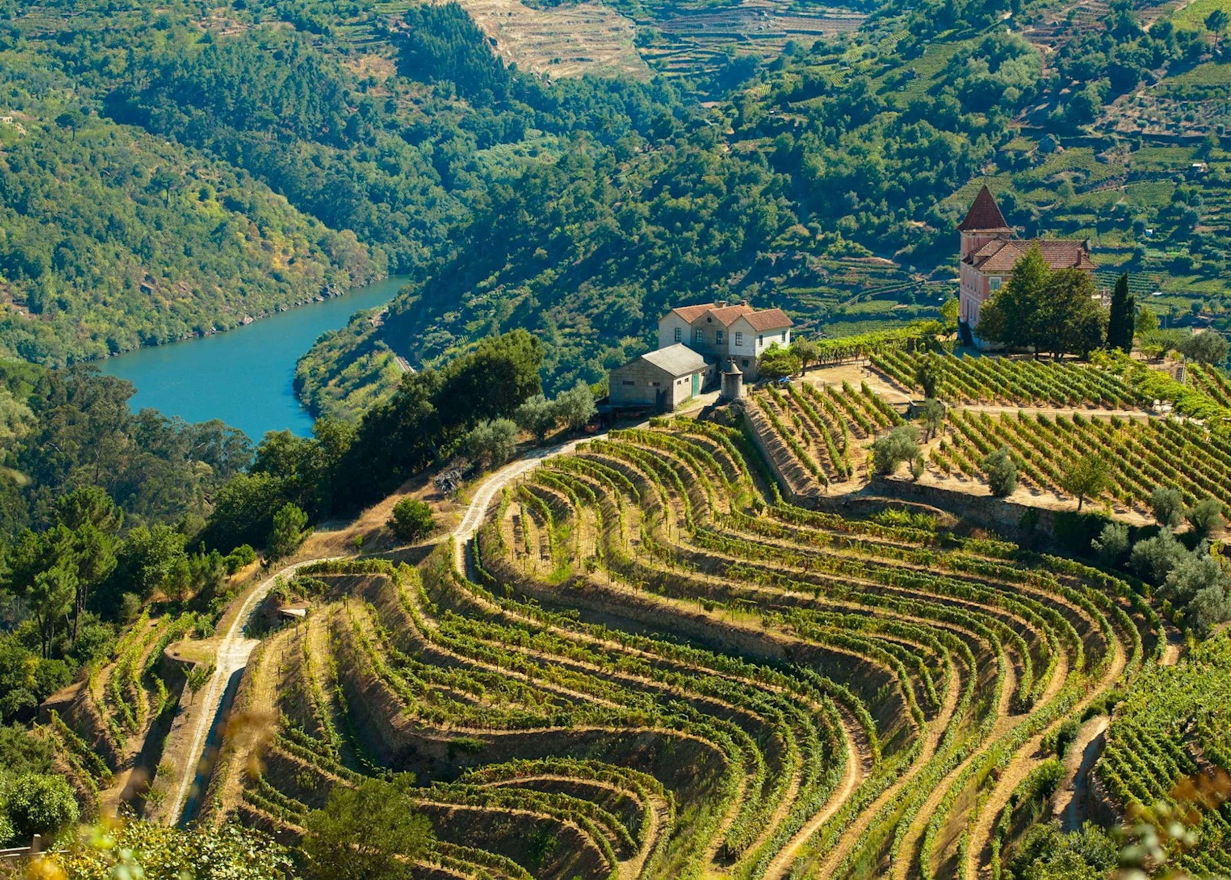 Aerial view of terraced vineyards on a hillside with a river flowing through a lush green valley, and a church with a steeple is visible among the vineyard terraces.