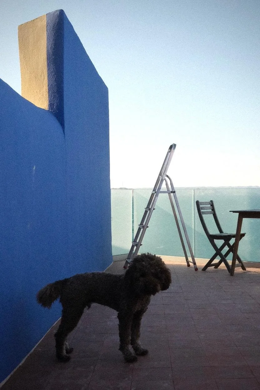 24BP - Simon Parrilla - 26 04 12 (16).jpeg