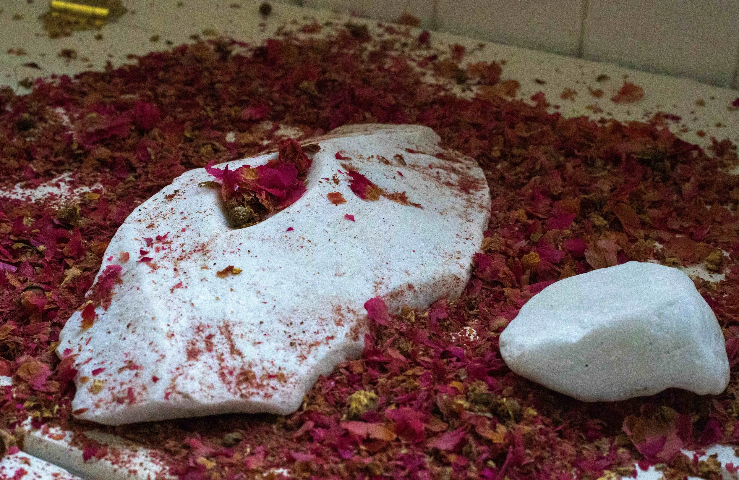 Hush to hear a petal fall, 2026 - 2.jpg